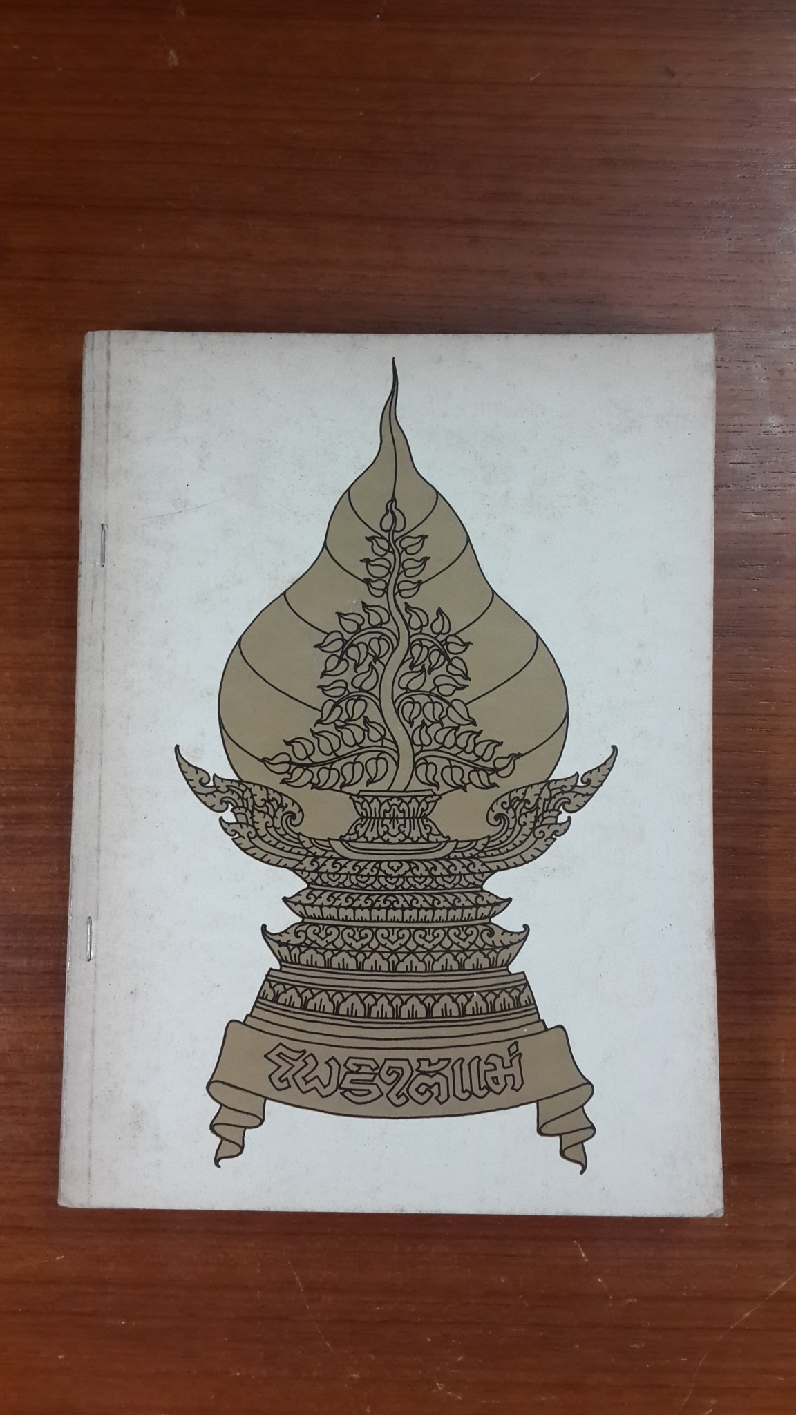 โพธิใต้แม่
