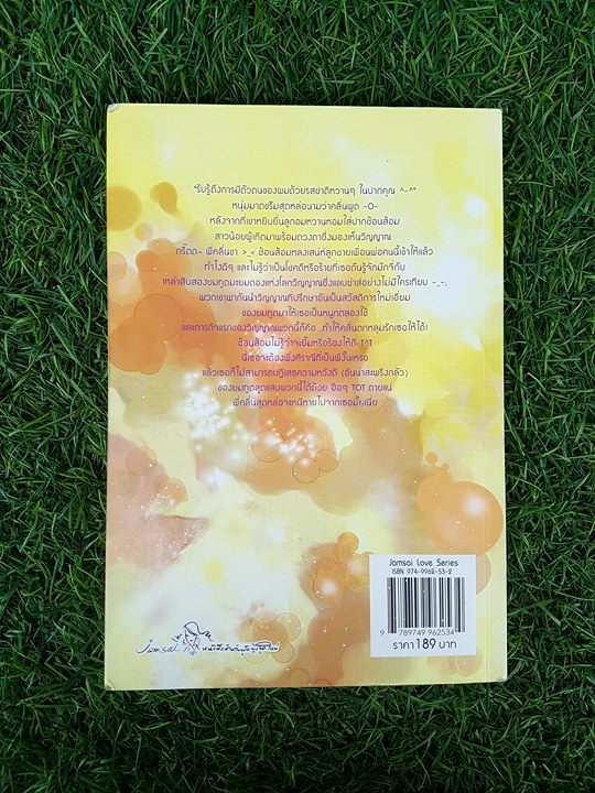 วุ่นนักทูตรักสื่อหัวใจ/ลูกชุบ