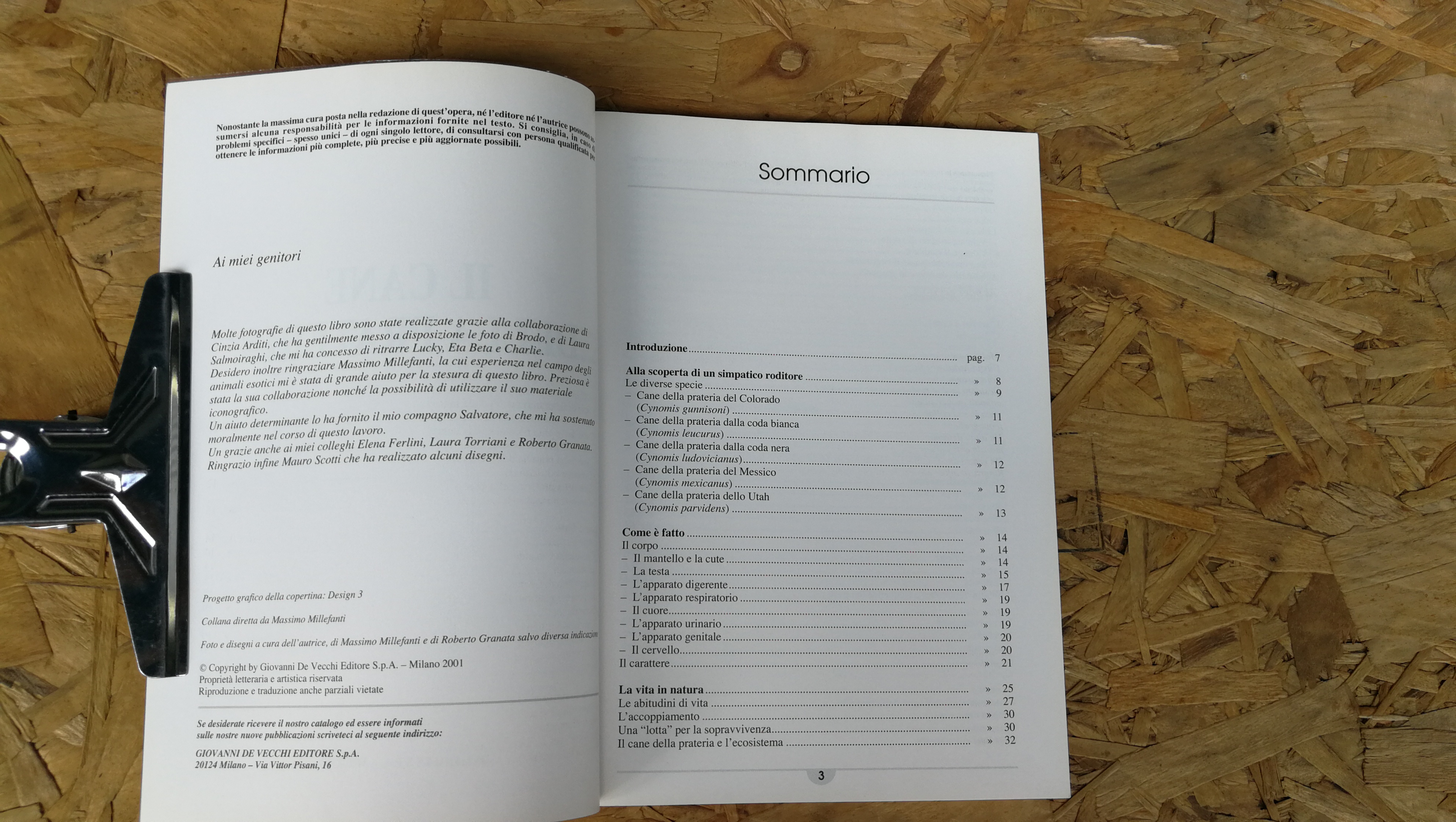 IL CANE DELLA PRATERIA