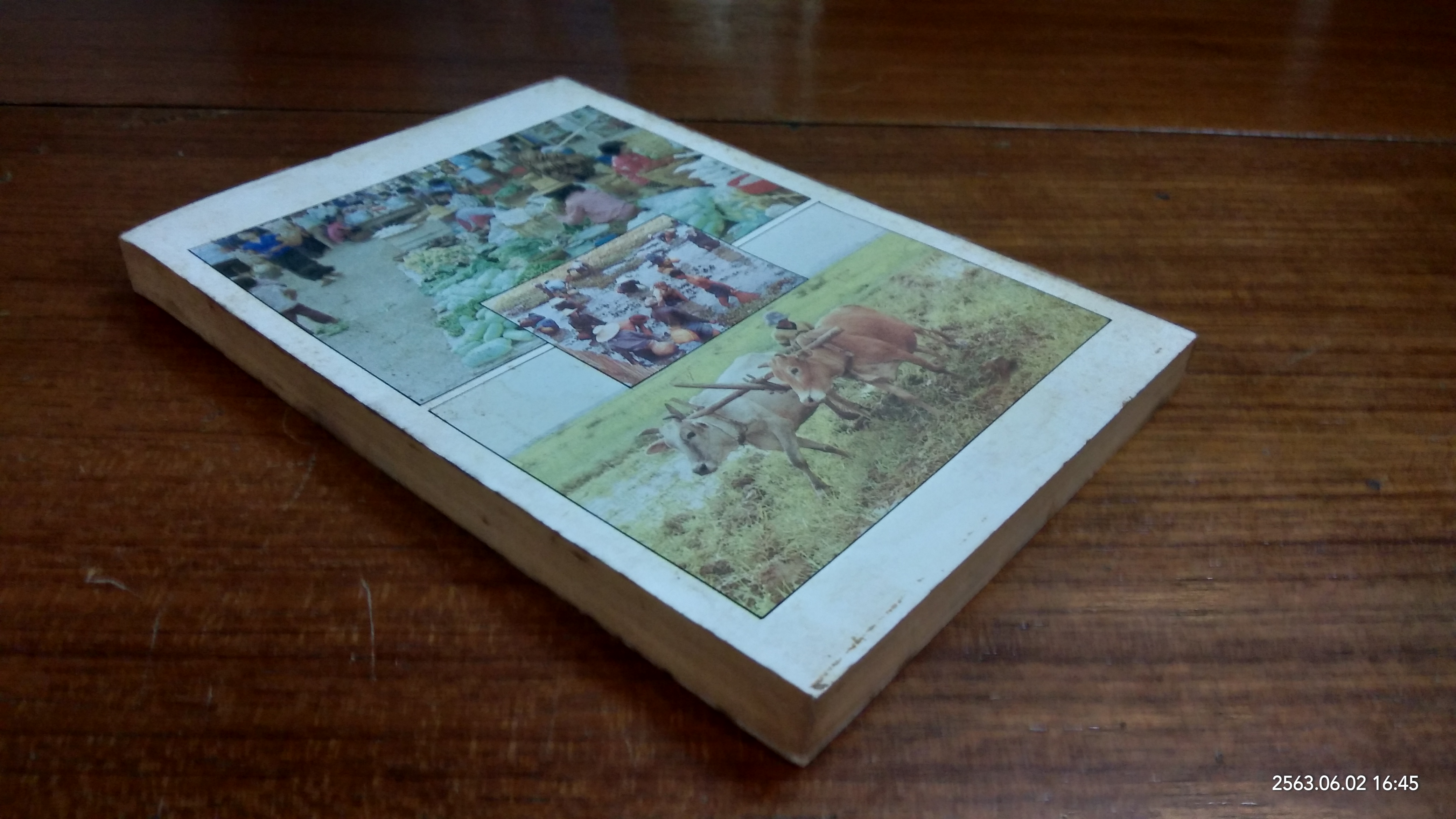 แนะนำการทำมาหากินของชาวบ้าน / รุจ วรังษี