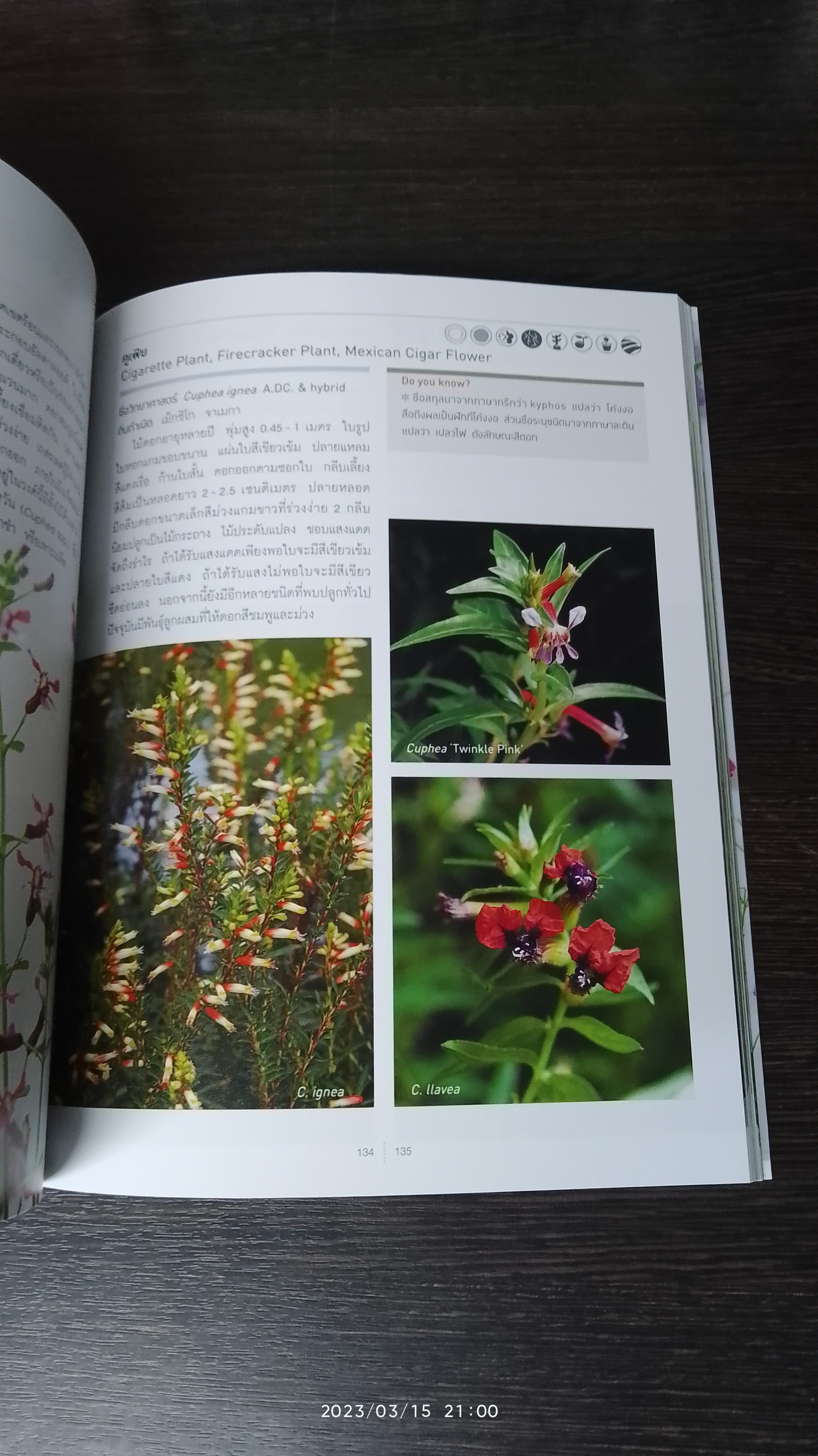 รวมพันธุ์ไม้ดอก...Flowering Plants + ไดอารี่ พร้อมกล่อง / อุไร จิรมงคลการ