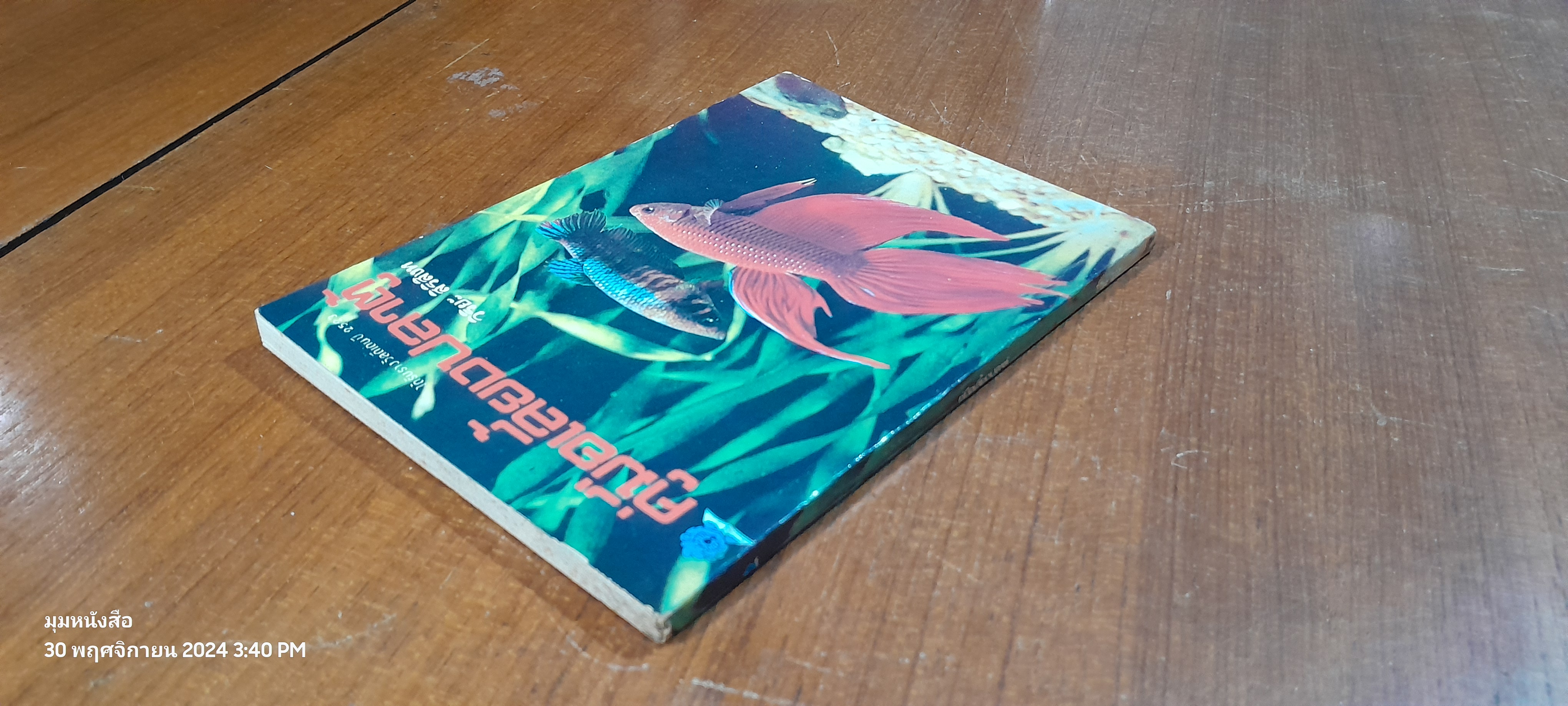 คู่มือเลี้ยงปลาตู้ / วิริยะ สิริสิงห