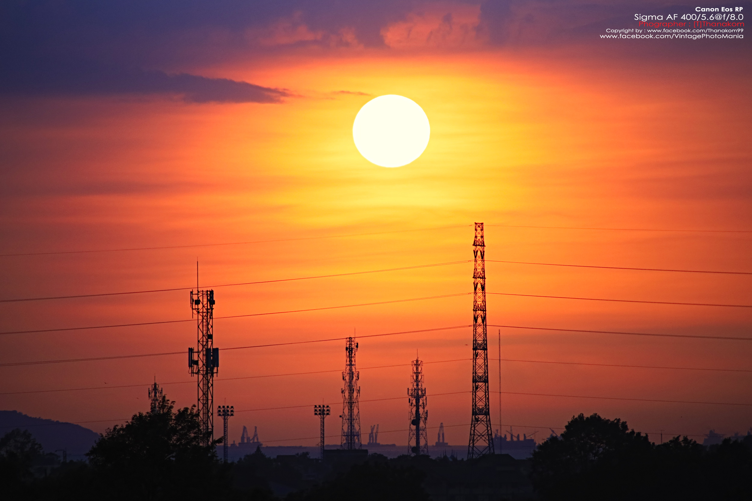 Sigma AF 400/5.6 *Nikon AF-D Mount เลนส์ซูมซูเปอร์เทเลสายถ่ายนกเอฟกว้าง