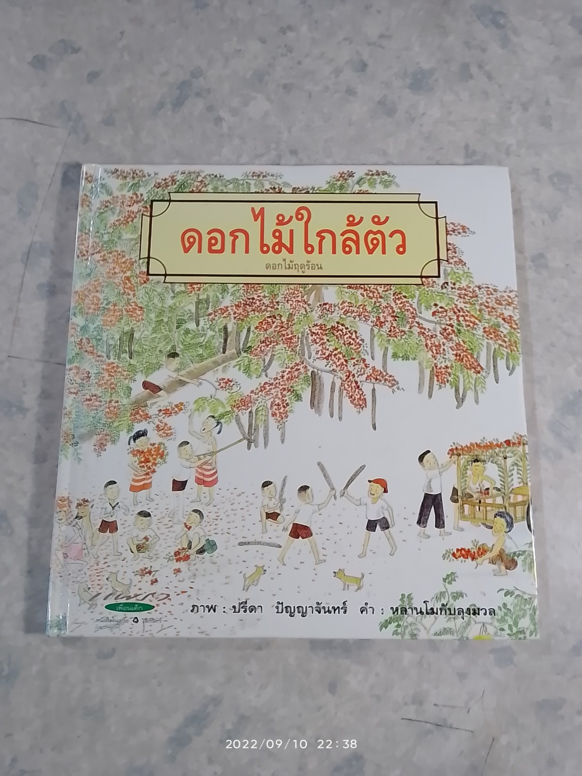 ดอกไม้ใกล้ตัว ดอกไม้ฤดูร้อน / ปรีดา ปัญญาจันทร์ ภาพ