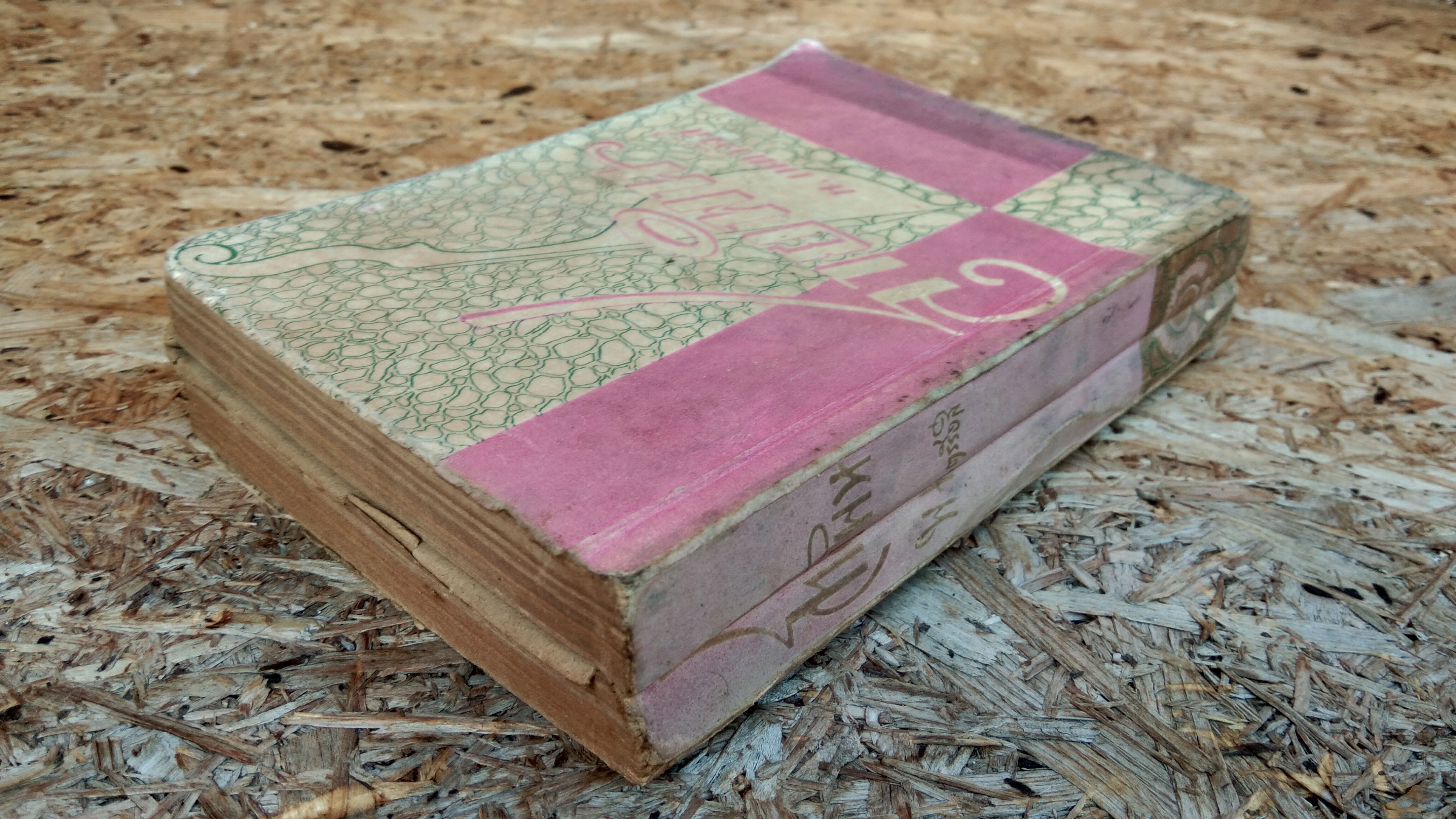 สายพิน (ชำรุด) / น.เนตรรังสี