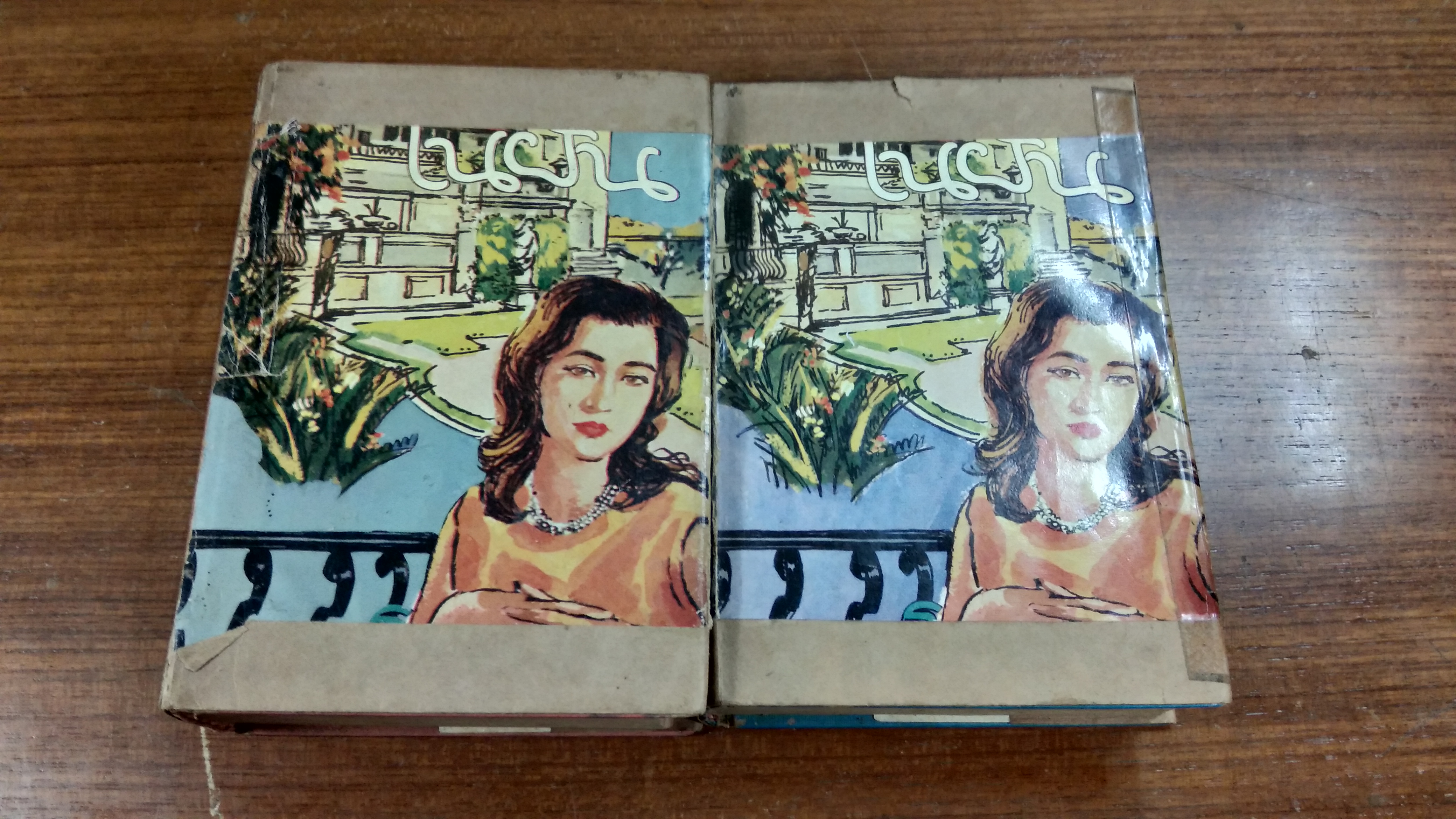 ในฝัน (2เล่มจบ) / โรสลาเรน