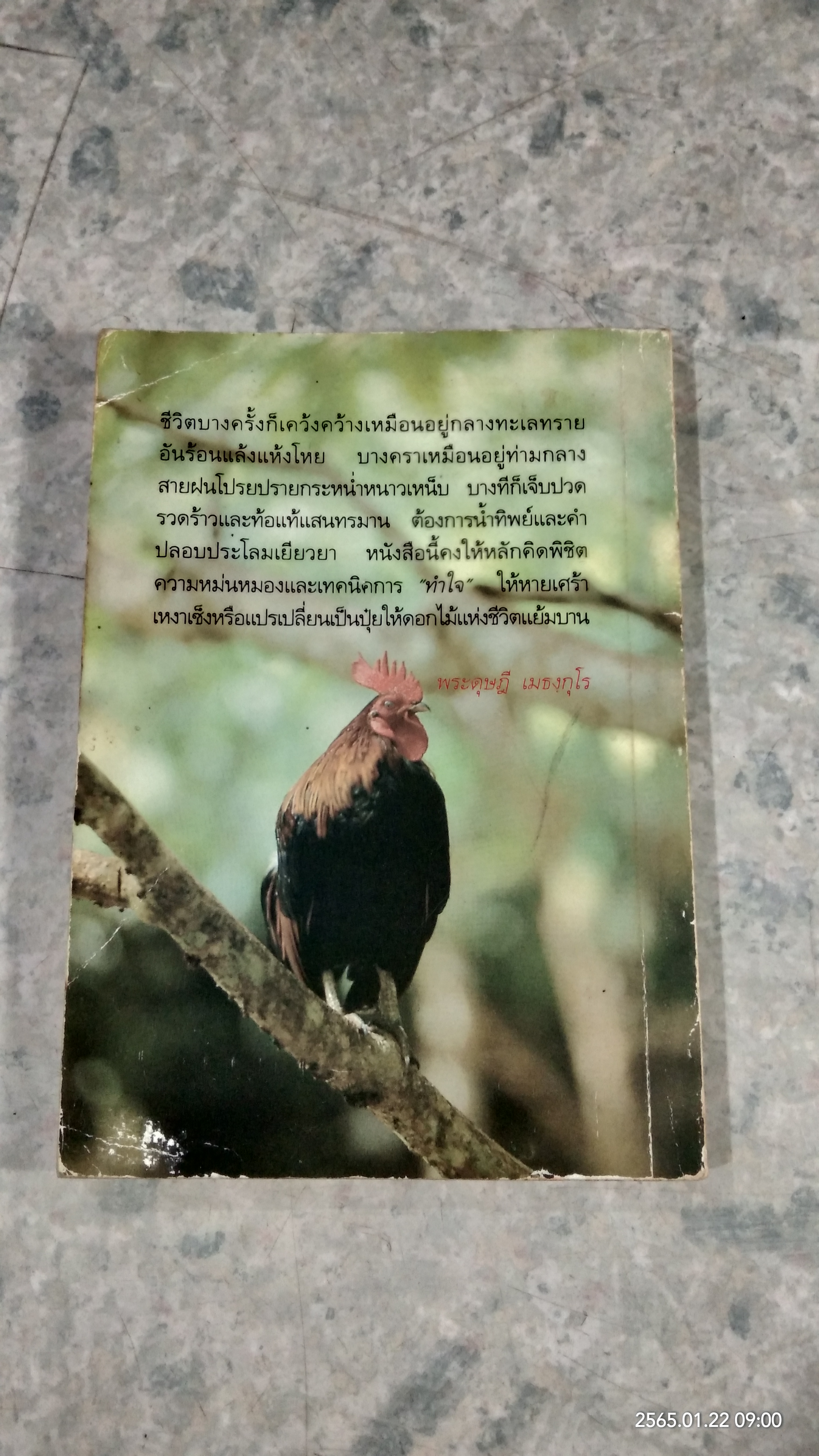 เสาะหามาฝาก / สุธา ธรรมชาติ