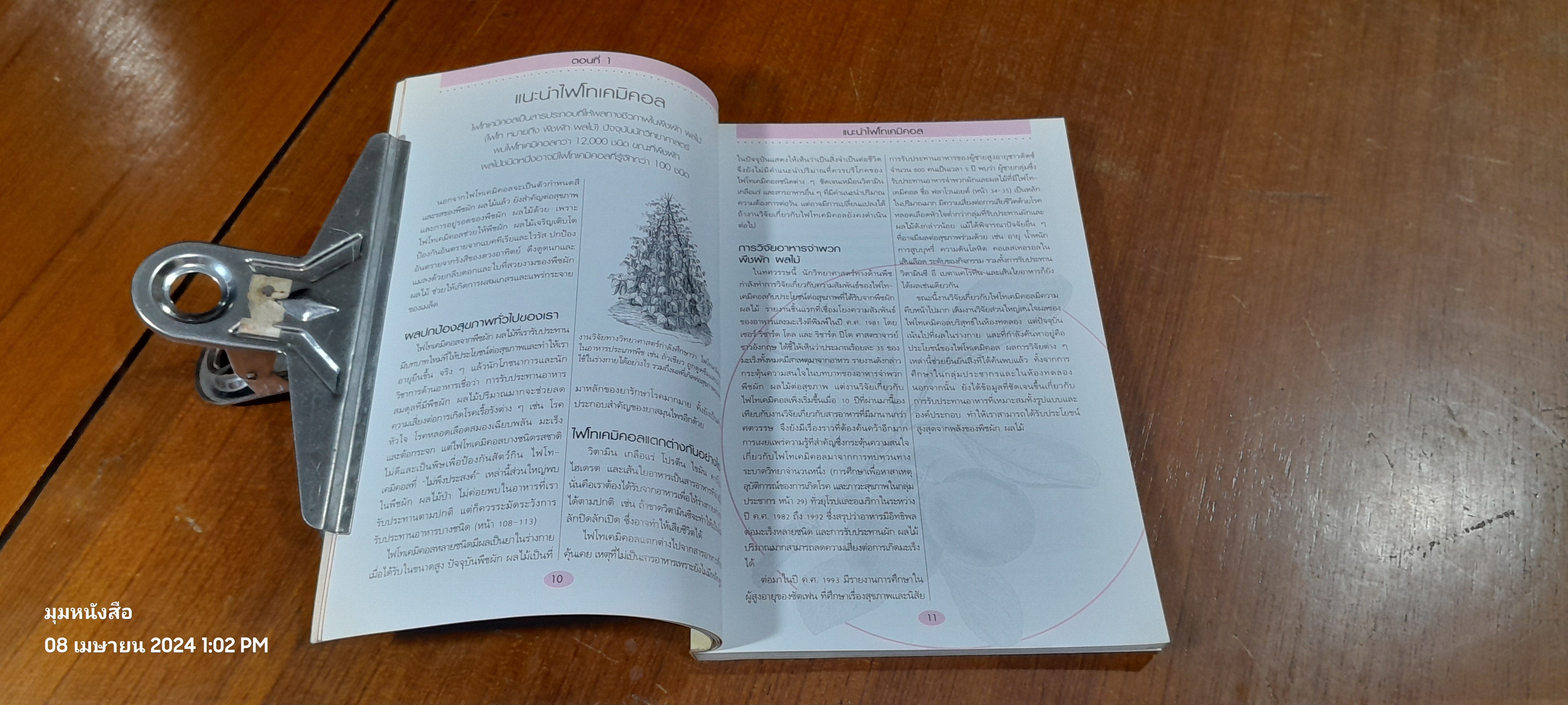 คู่มือดูแลสุขภาพ ด้วย สุดยอดสารอาหาร / LYNDEL COSTAIN