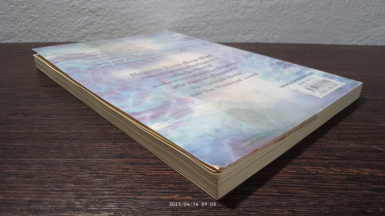 เด็กตาทิพย์ / David Almond