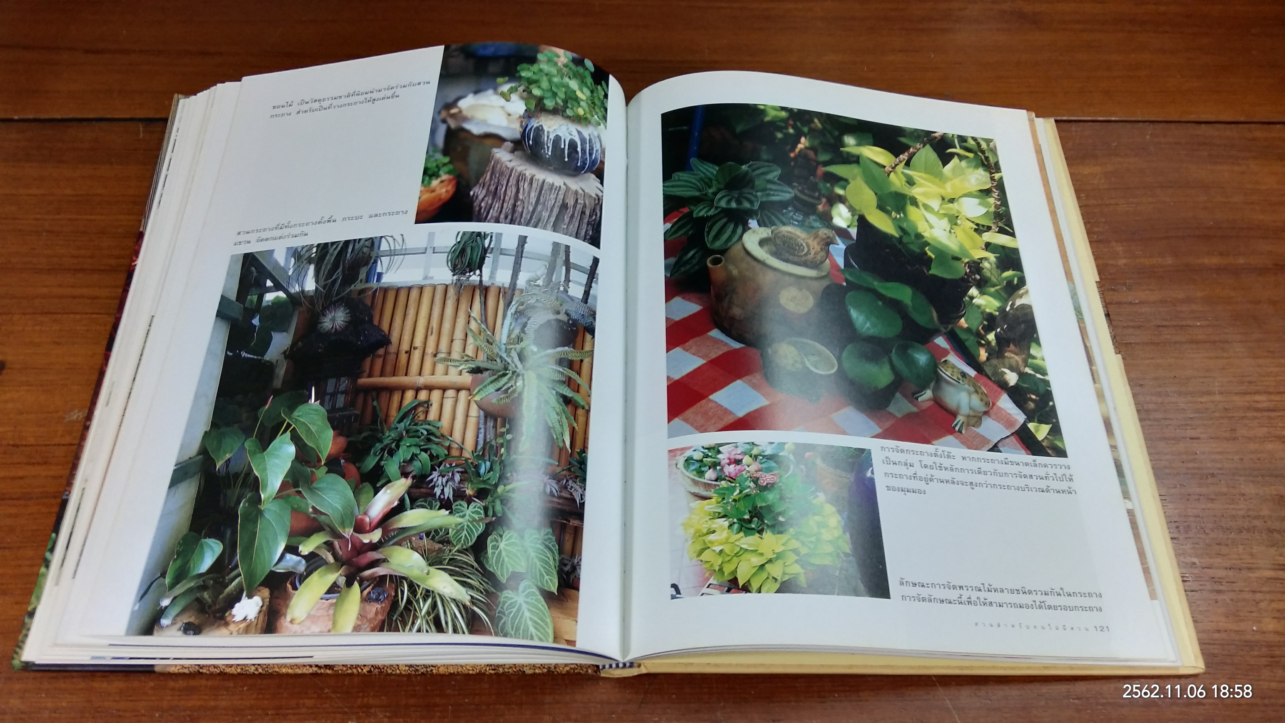 คู่มือการจัดและตกแต่ง : สวนในบ้าน เล่ม 14 สวนสำหรับคนไม่มีสวย / บ้านและสวน