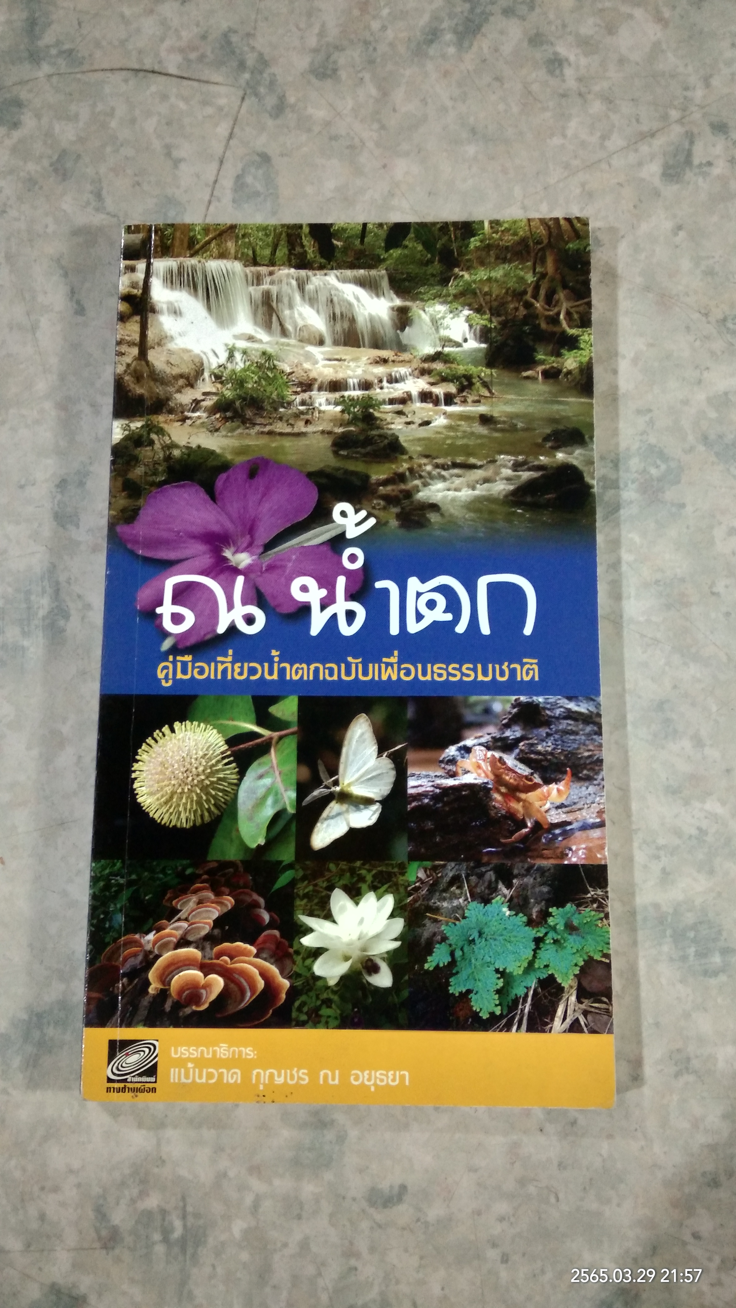 ณ น้ำตก คู่มือเที่ยวน้ำตกฉบับเพื่อนธรรมชาติ / แม้นวาด กุญชร ณ อยุธยา