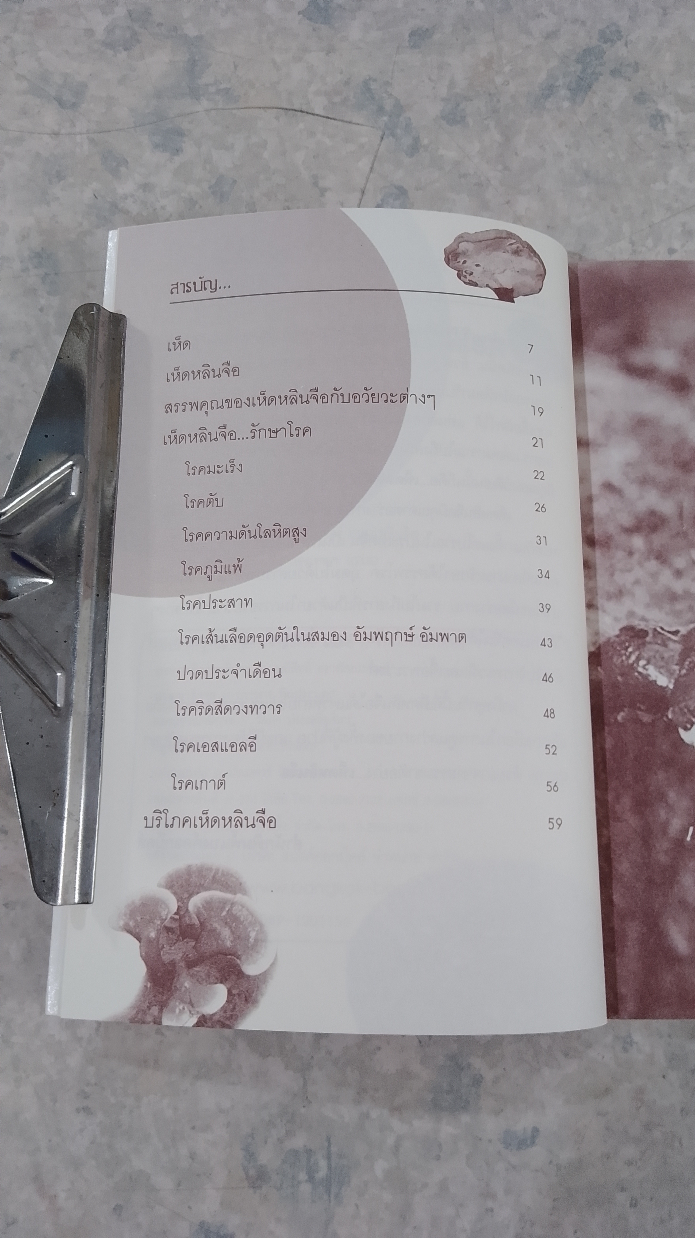 เห็ดหลินจือ อื้อซ่า ยารักษาสรรพโรค / นพ.ปัญญา ไพศาลอนันต์