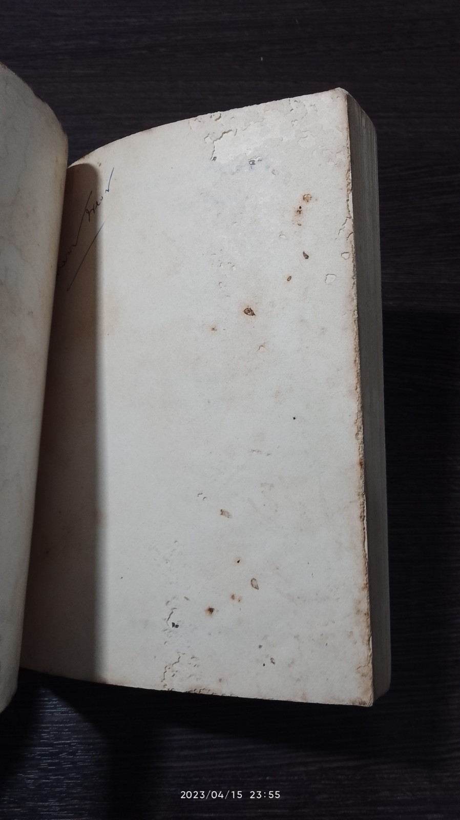 จดหมายแก้เหงา จาก 'จันทรำไพ'