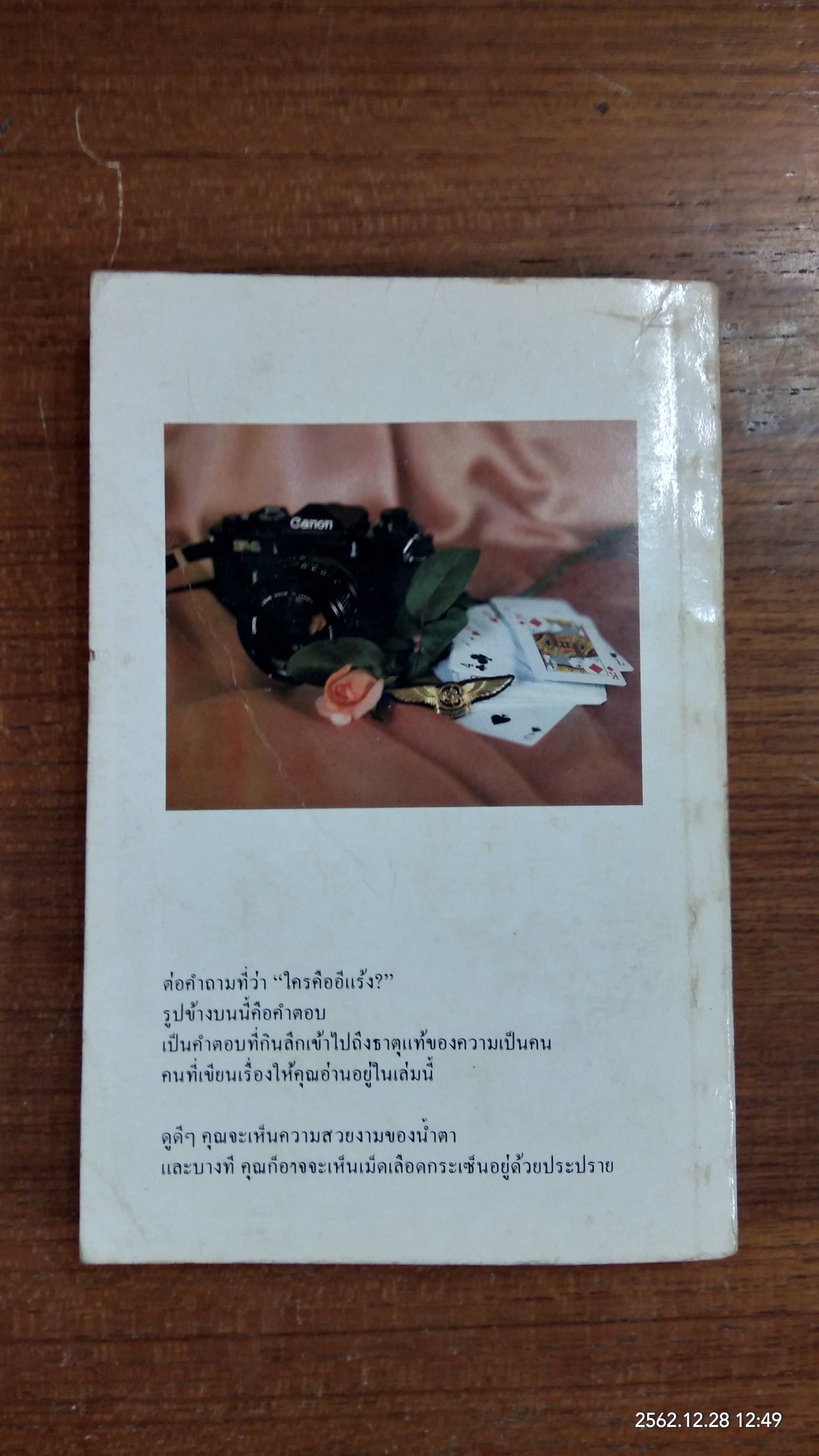 บินแหลด / อีแร้ง