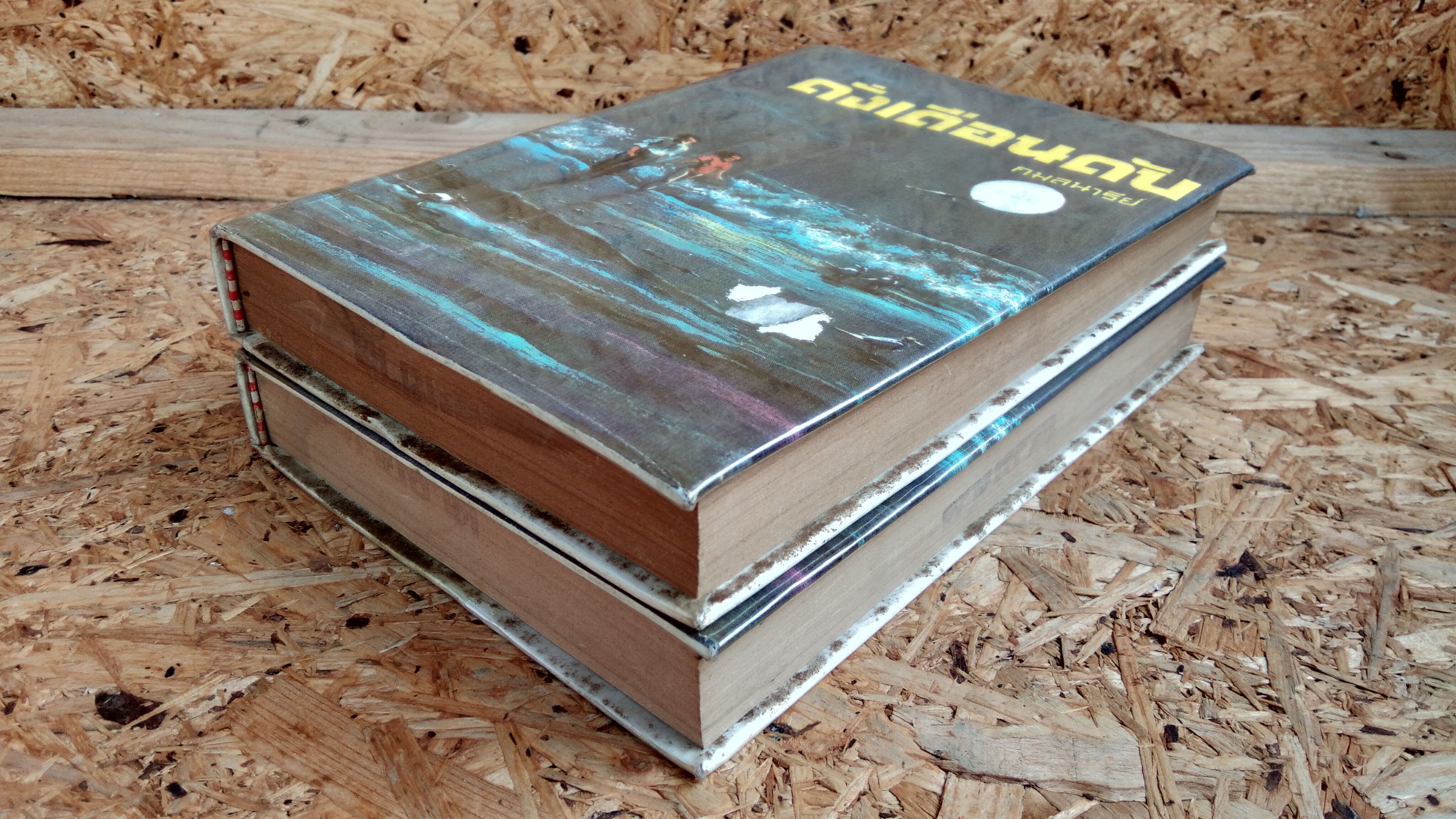 ดั่งเดือนดับ (2เล่มจบ) / กมลนารีย์