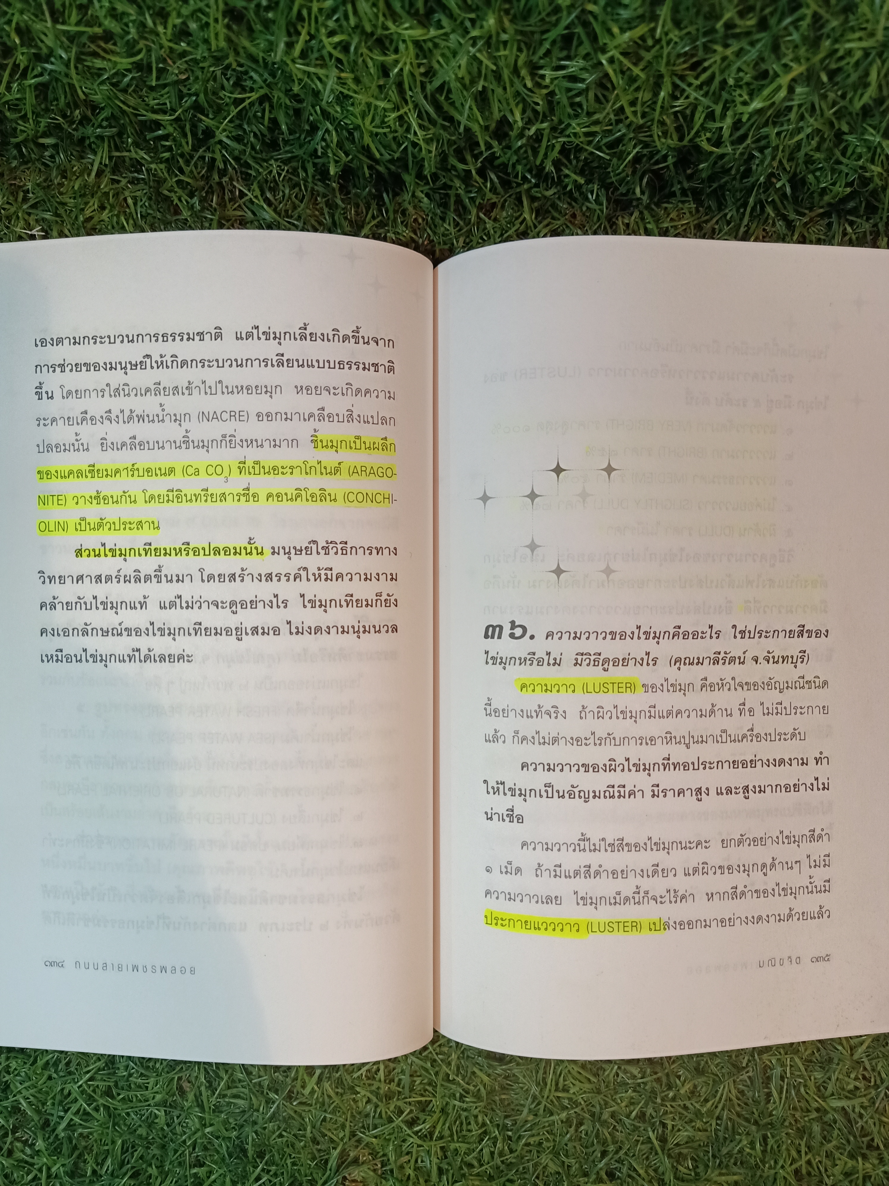 ถนนสาย เพชรพลอย (หนังสือมีรอยขีดเส้นใต้ตามรูปภาพที่ถ่ายครับ) / มณิขจิต