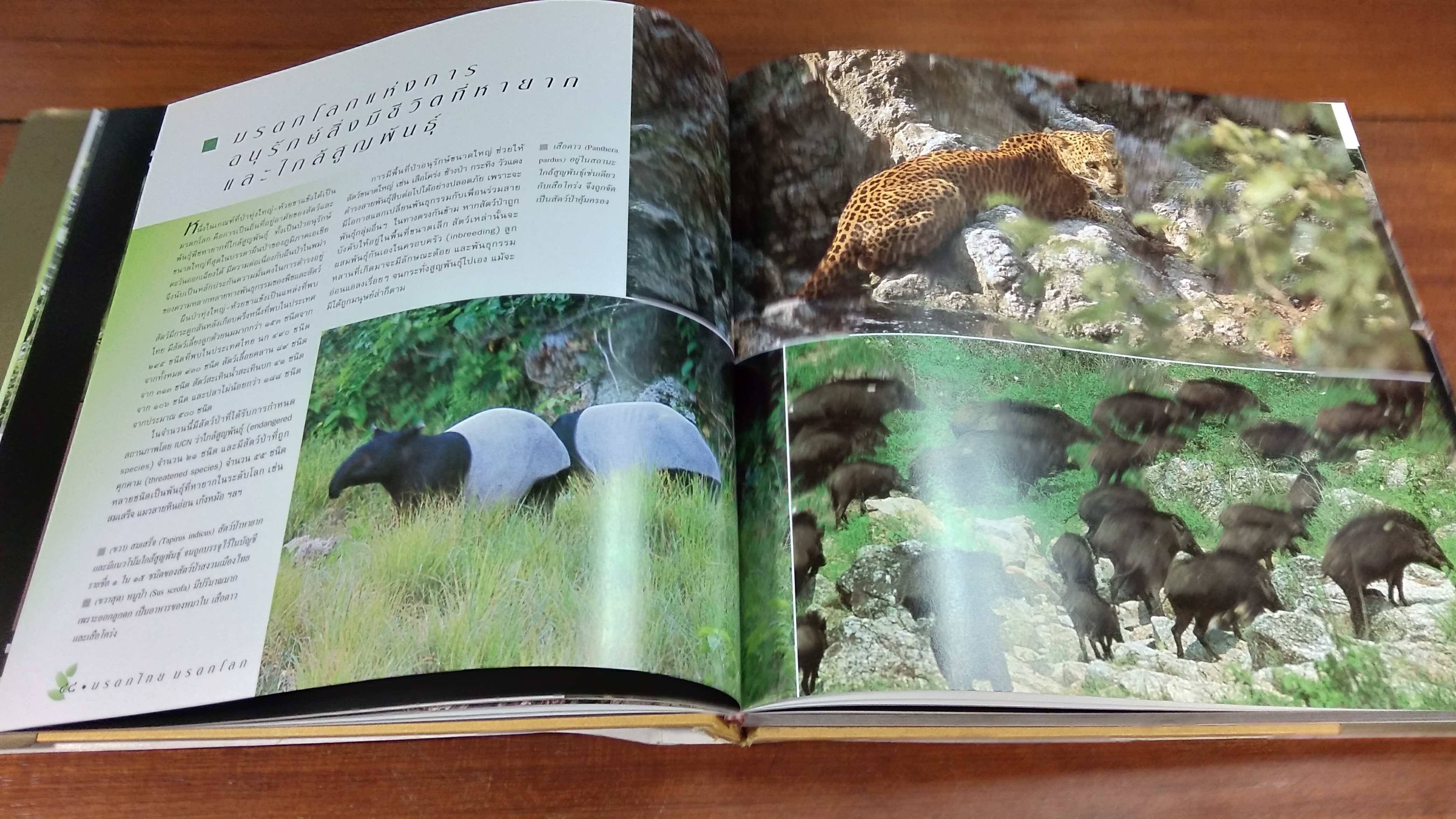 มรดกไทย มรดกโลก