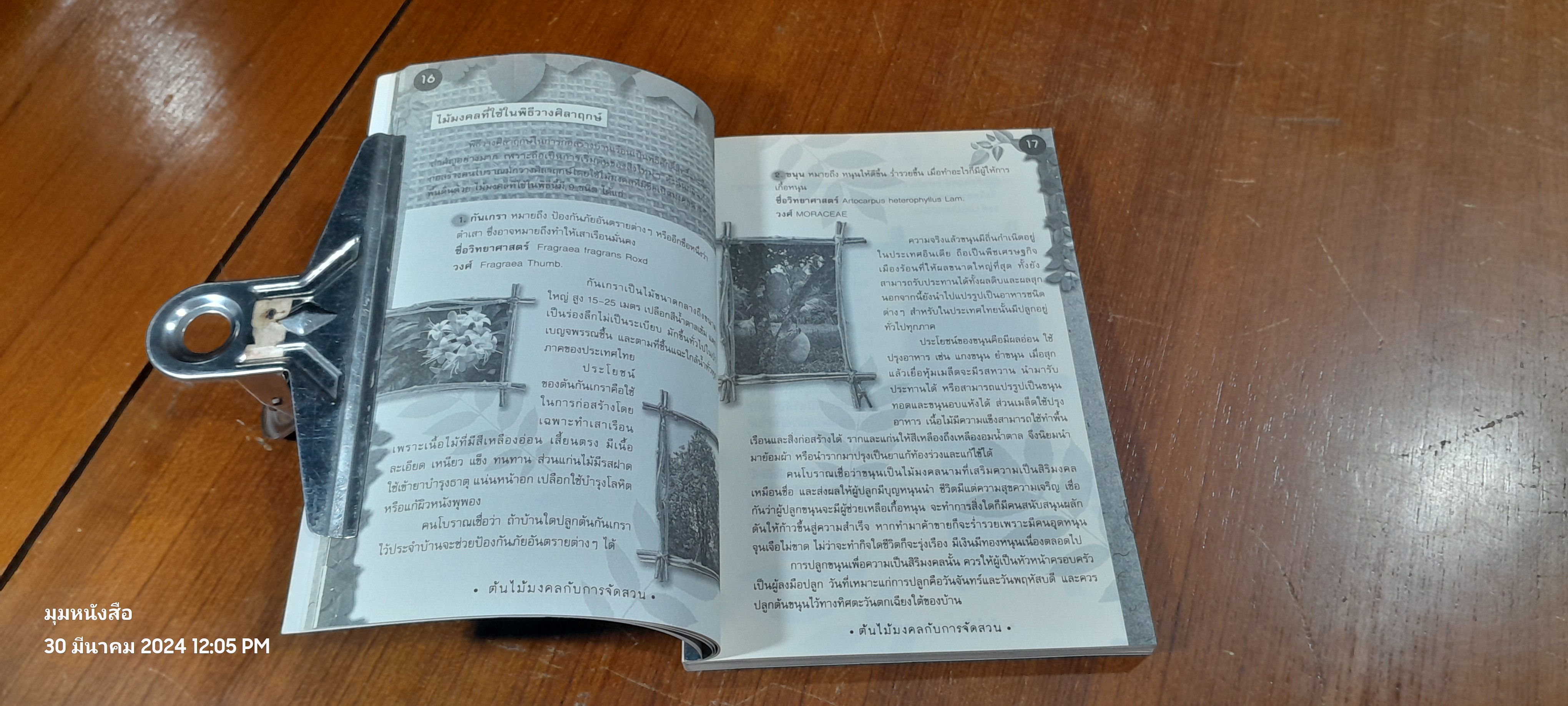 ต้นไม้มงคล กับ การจัดสวน / พรพักตร์ นาคคง