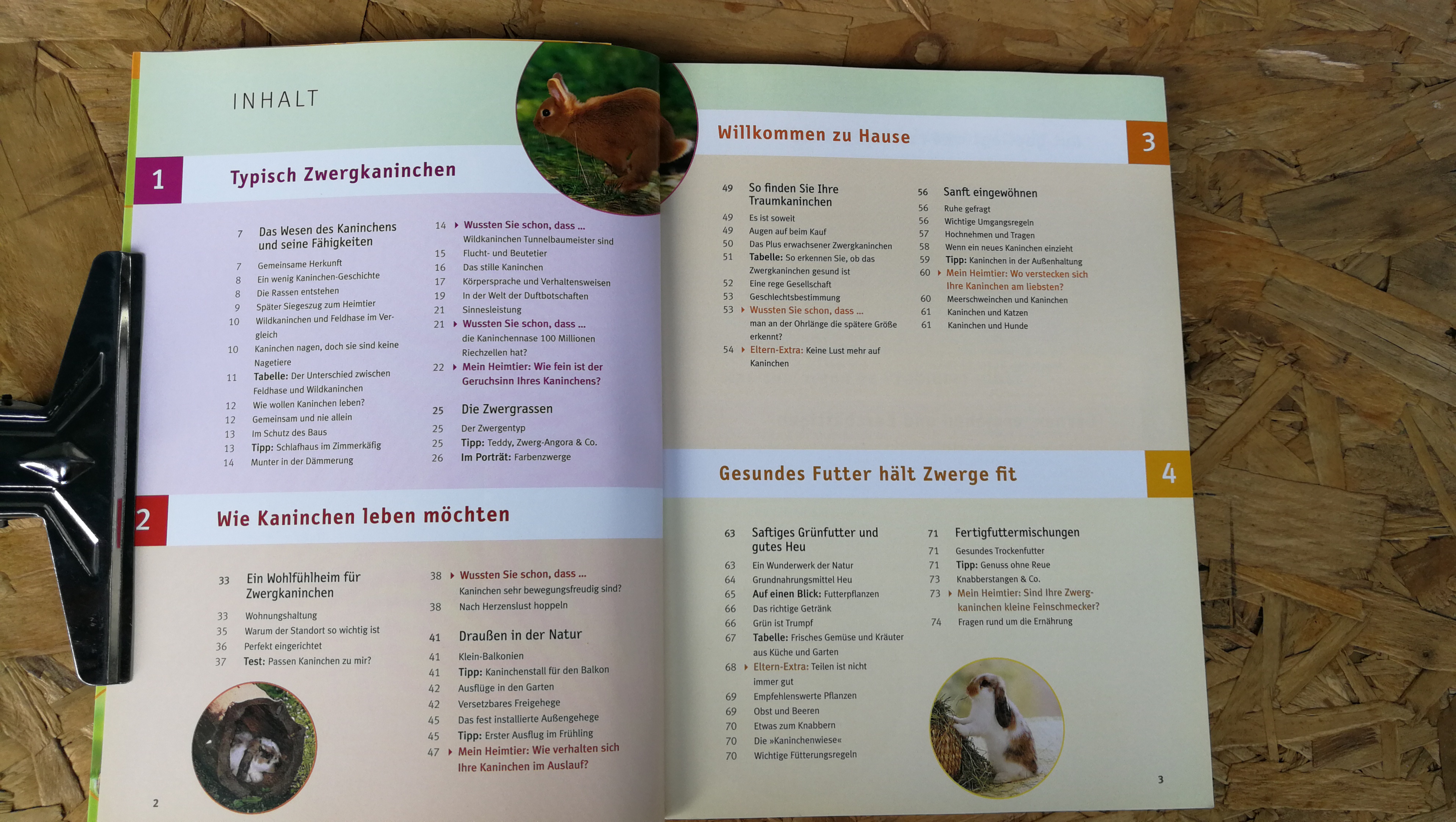 Mein Zwergkaninchen / MEIN HEIMTIER