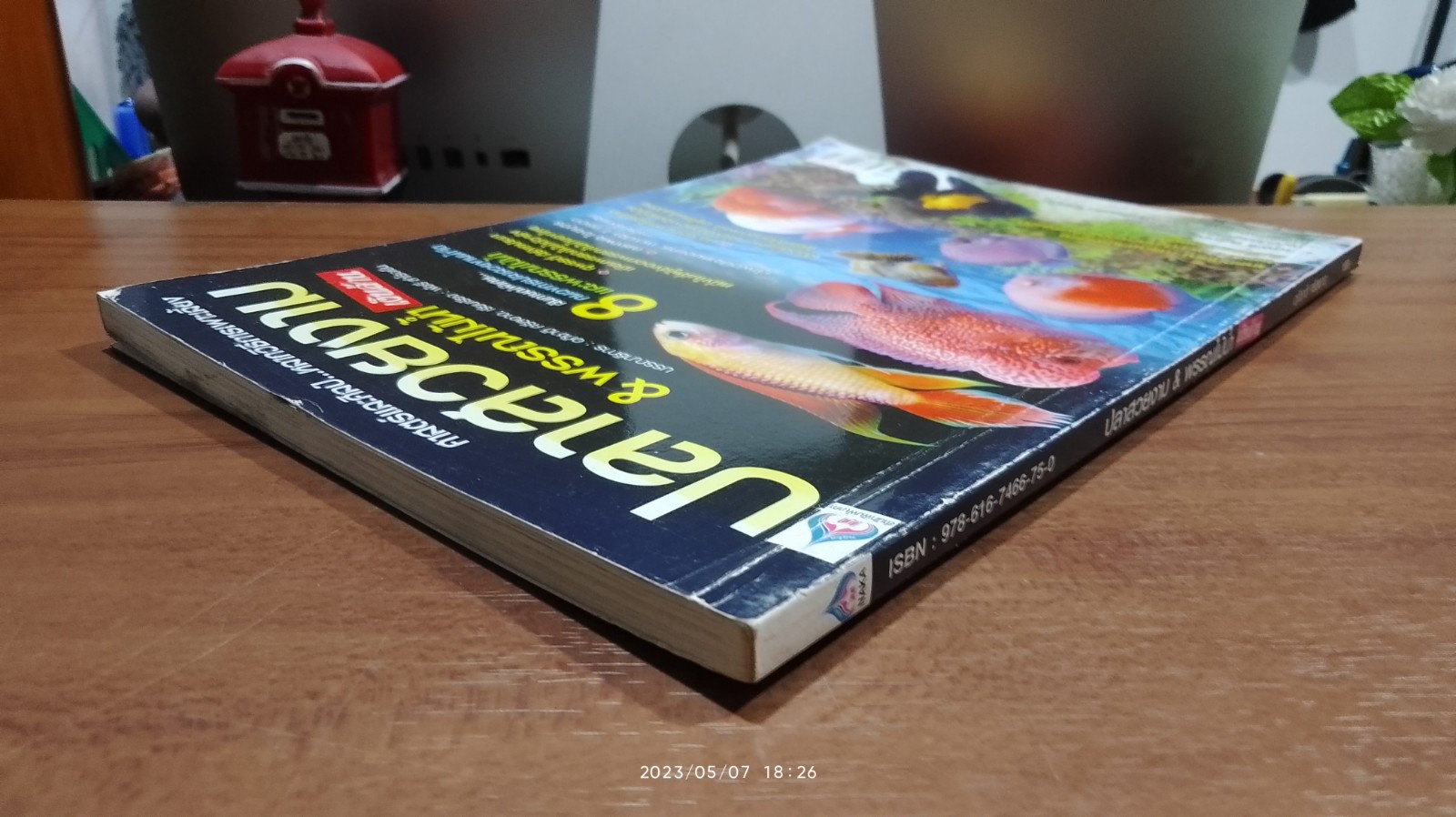 ปลาสวยงาม & พรรณไม้น้ำ เงินล้าน / พัชรี สำโรงเย็น