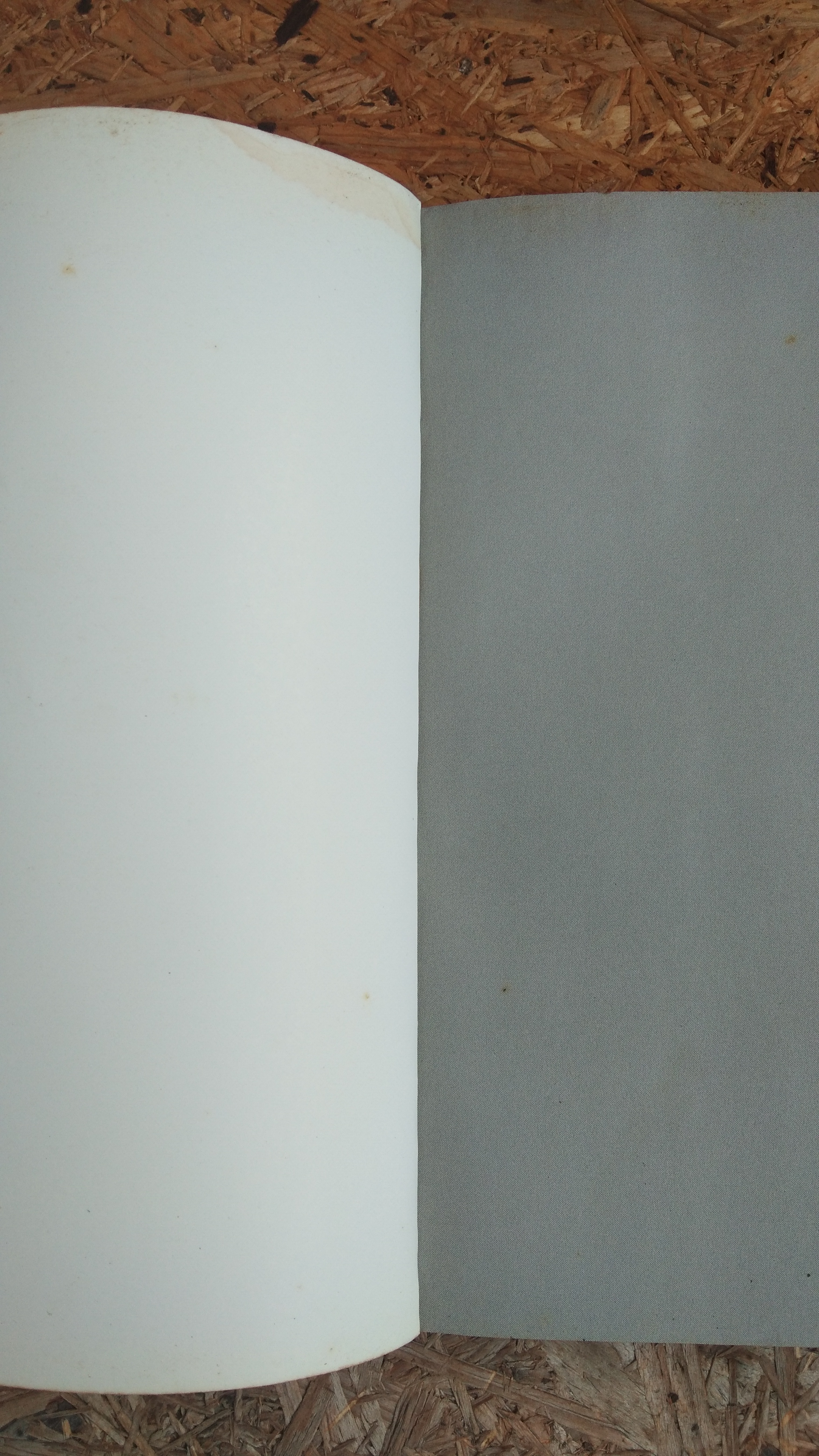 คดีช็อกโลก ฆาตกรรมลูก / โรจนา นาเจริญ แปล