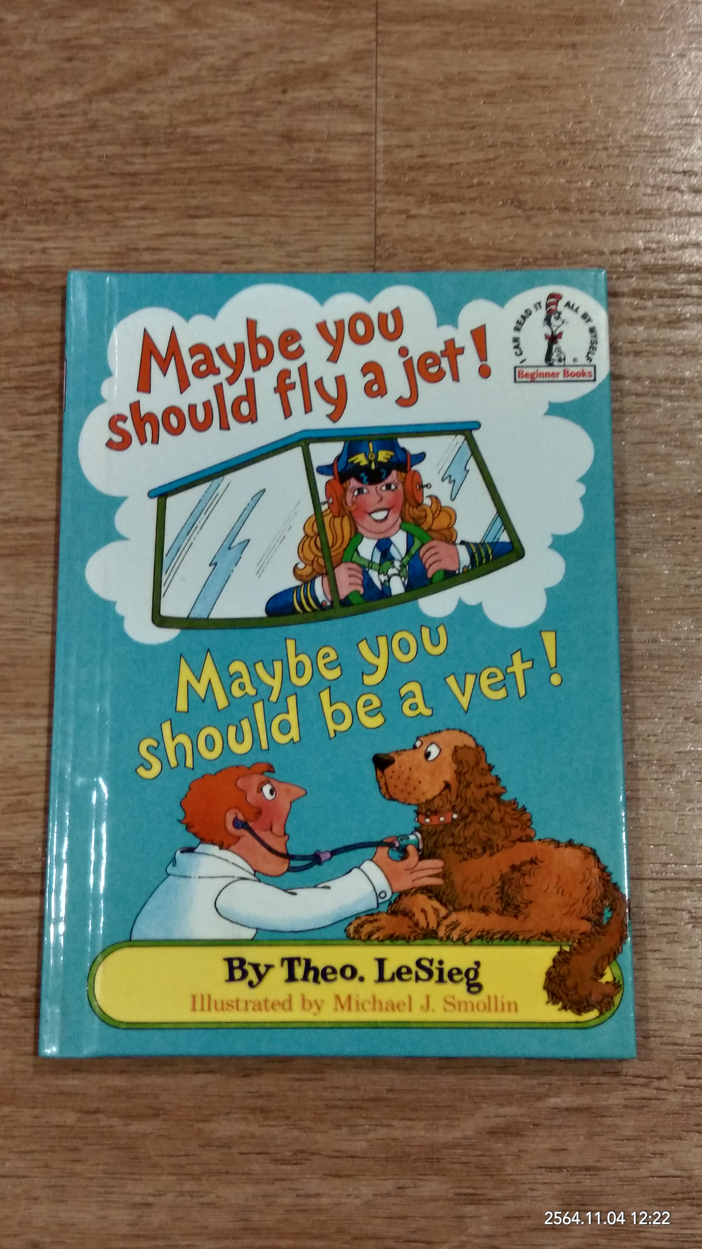 Maybe you should fly a jet ! / LeSieg