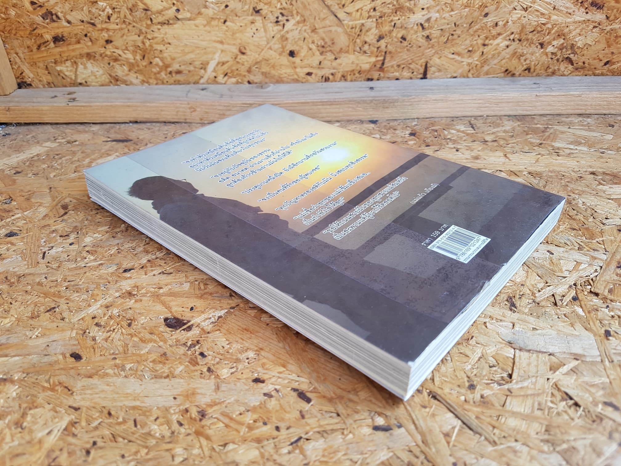 จ่าจินต์ ตำรวจบ้าบุญ / จินตวีร์ เกียงมี