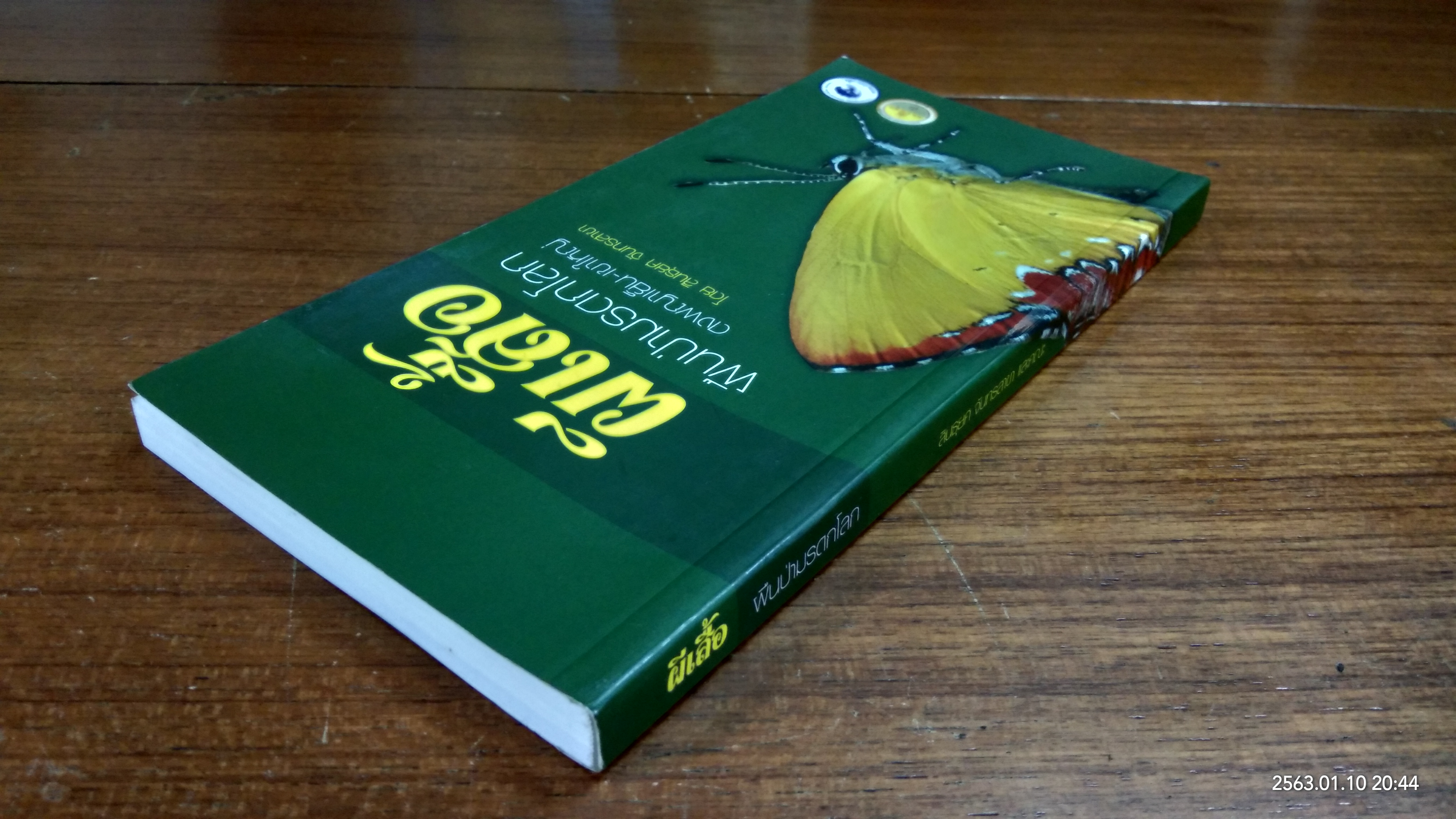 ผีเสื้อ ผืนป่ามรดกโลก / สินธุยศ จันทรสาขา