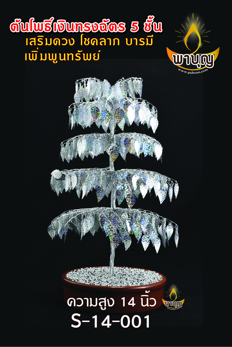 ต้นโพธิ์เงิน B2