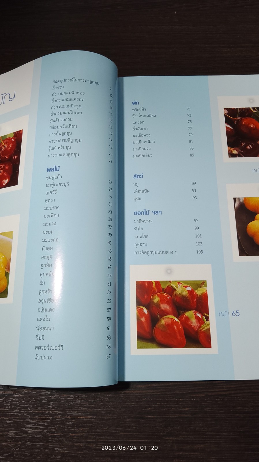 ลูกชุบ / อ.อมราภรณ์ วงษ์ฟัก