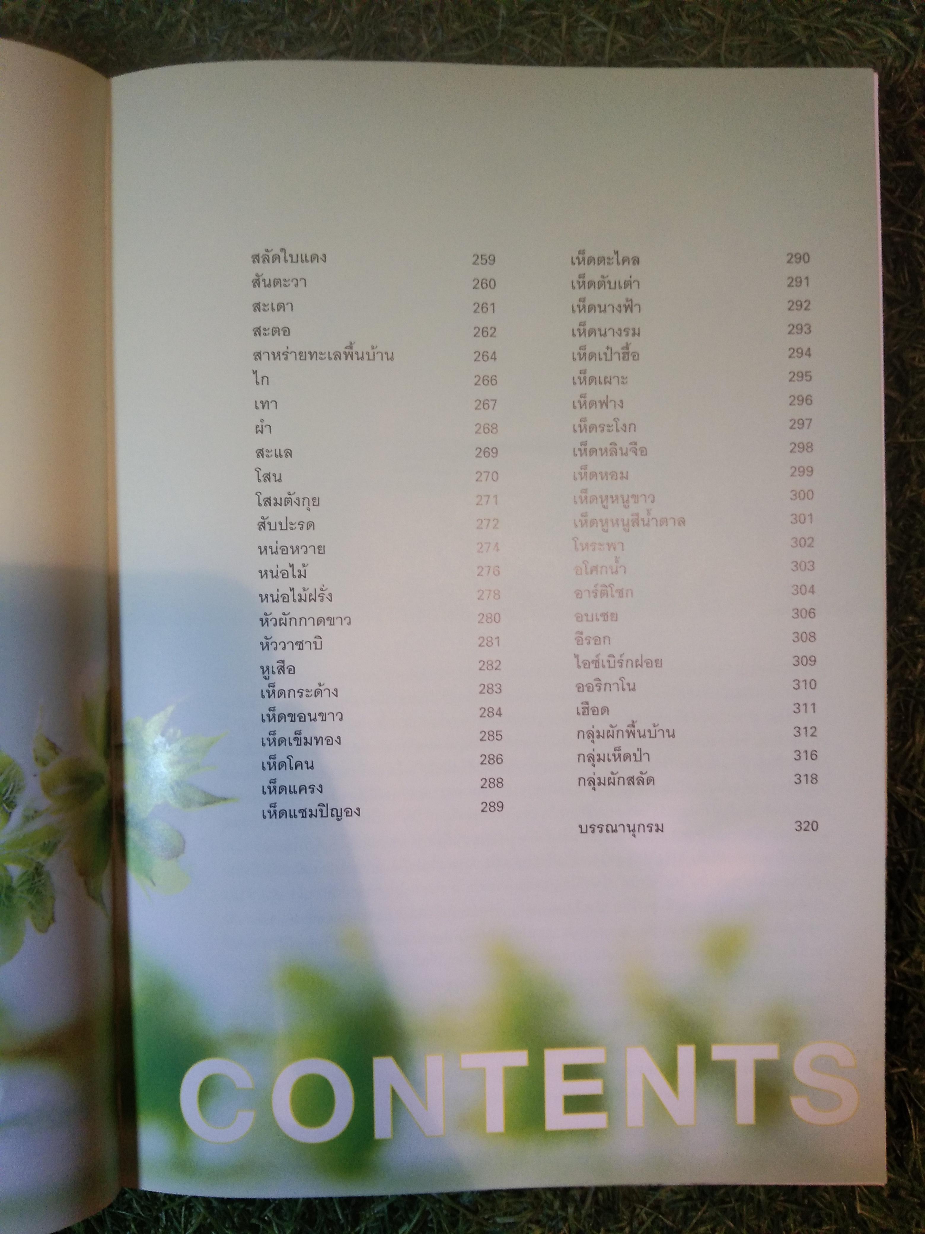 คุณค่าอาหารและการกิน ผัก๓๓๓ ชนิด / แสงแดด (สภาพไม่สมบูรณ์)