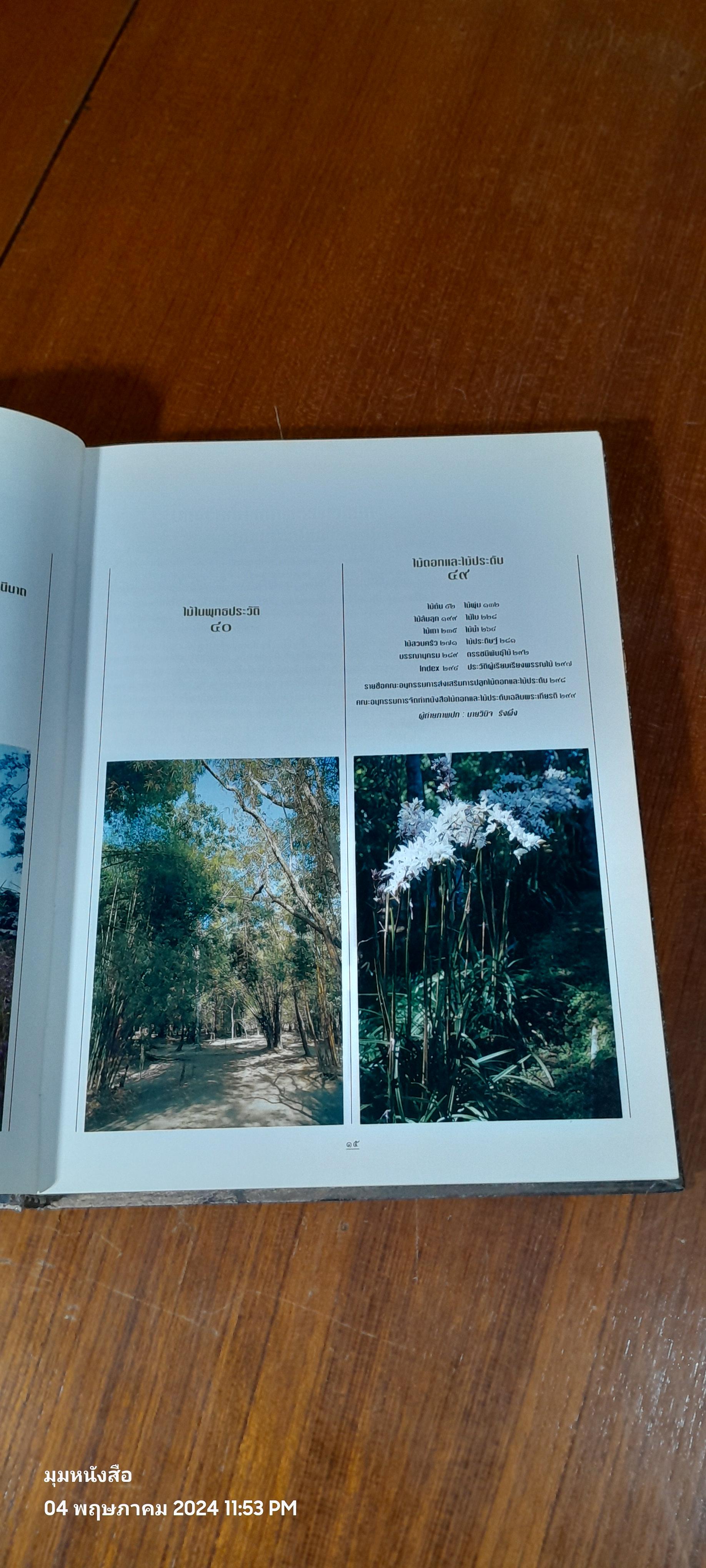 ไม้ดอกและไม้ประดับ