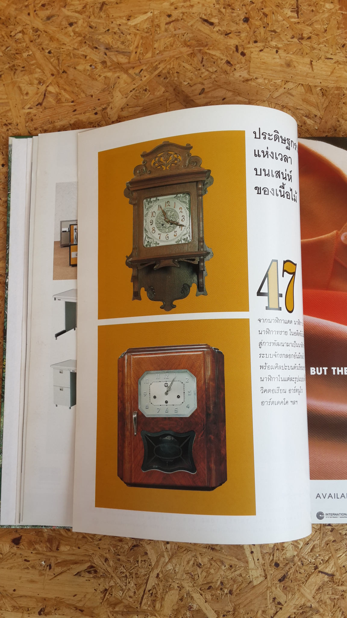 คอลเล็คชั่น แอนด์ เฮ้าส์ ฉบับพิเศษ : บ้านและธรรมชาติ