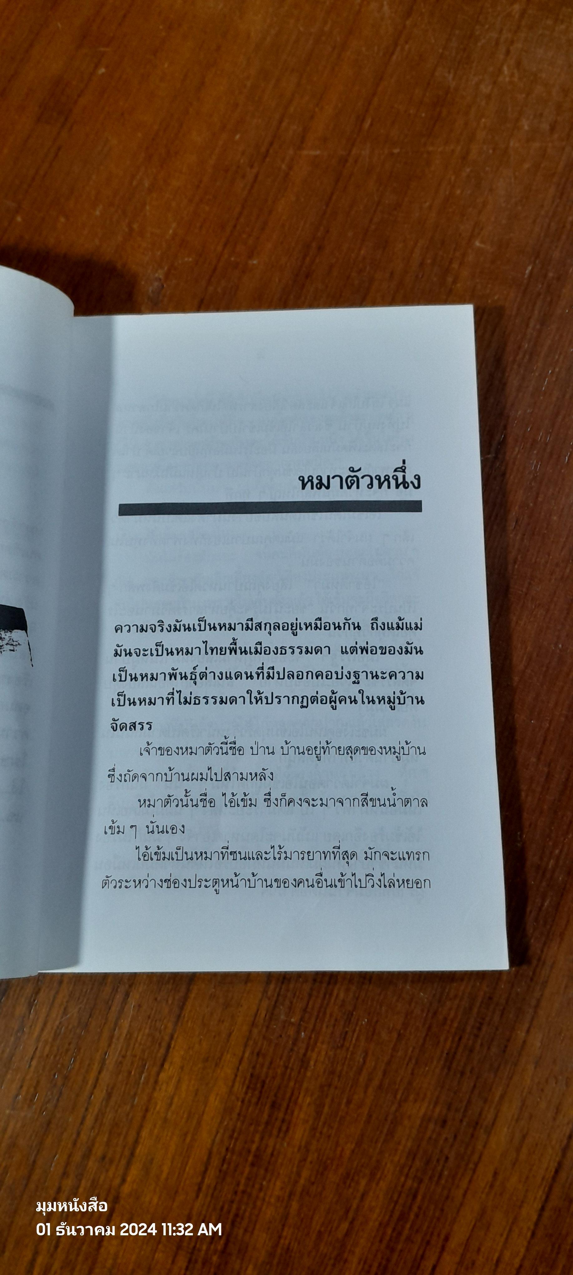 ศิลปินแห่งนาคร / ถวัลย์ มาศจรัส