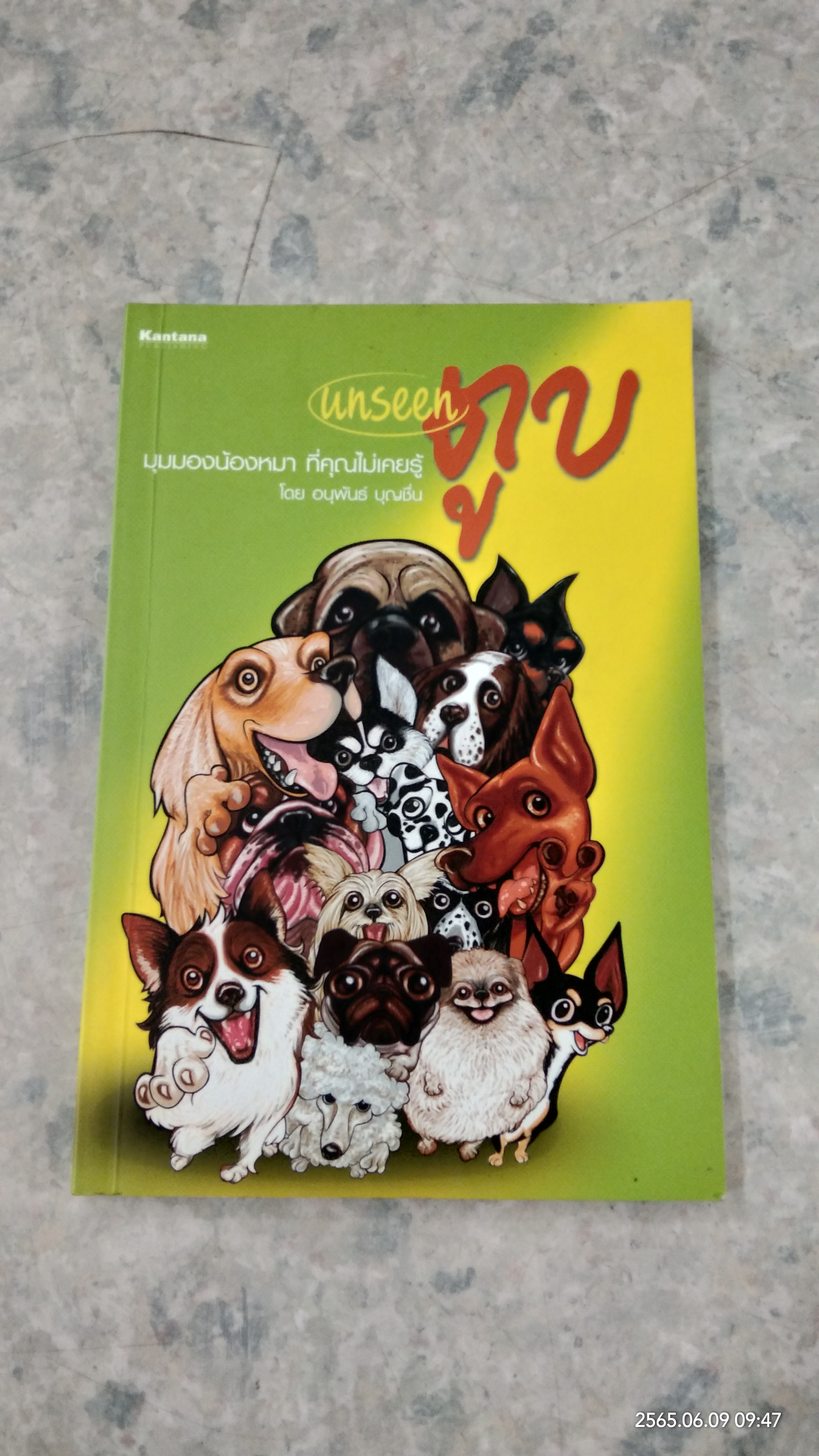 unseen ตูบ / อนุพันธ์ บุญชื่น
