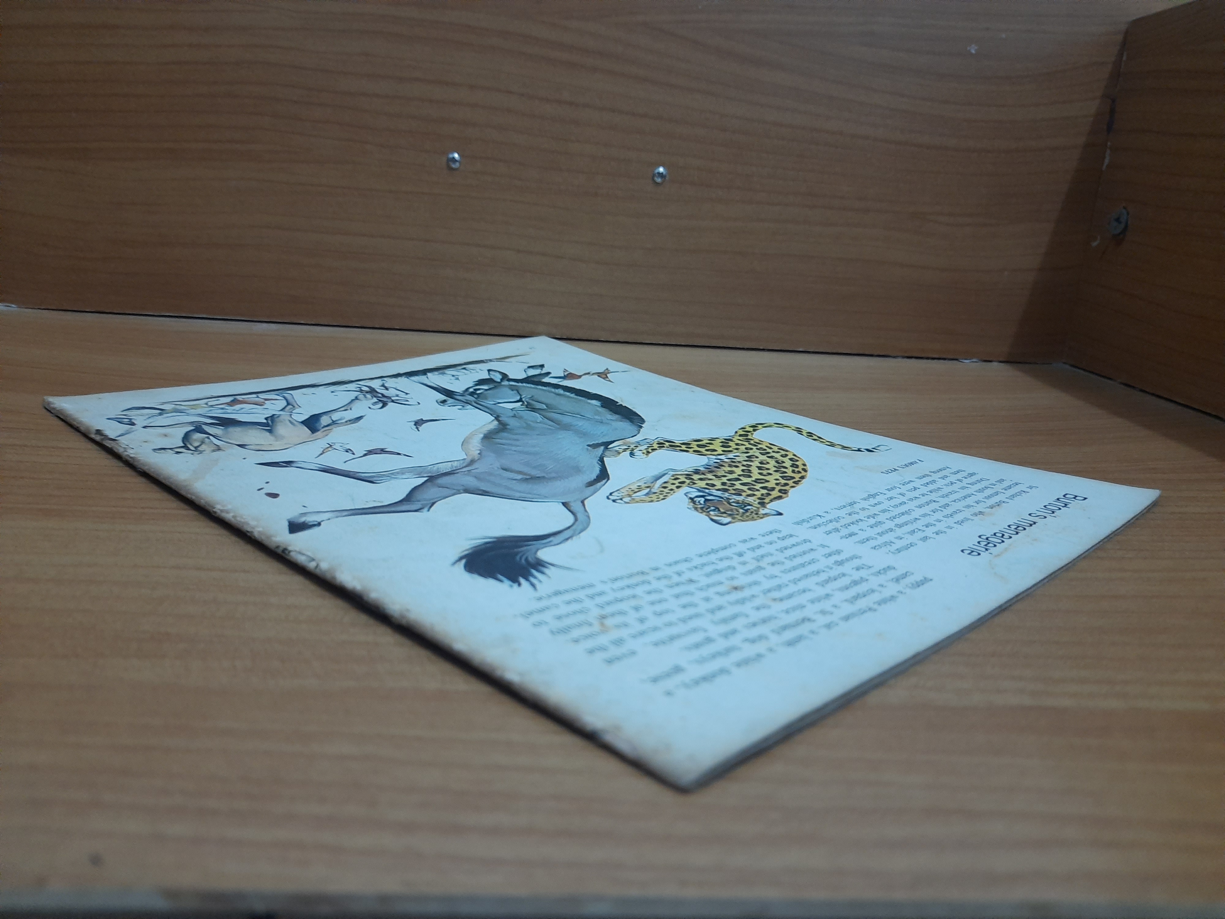 FINDING OUT Vol.13 No.12