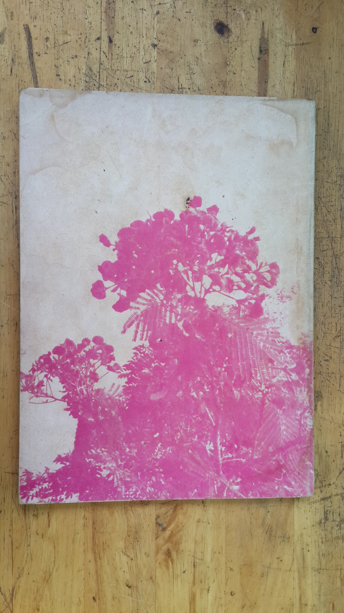 ระลึกถึง...อาจารย์ ธรรมนูญ สิงคเสลิต (มีตราห้องสมุด)