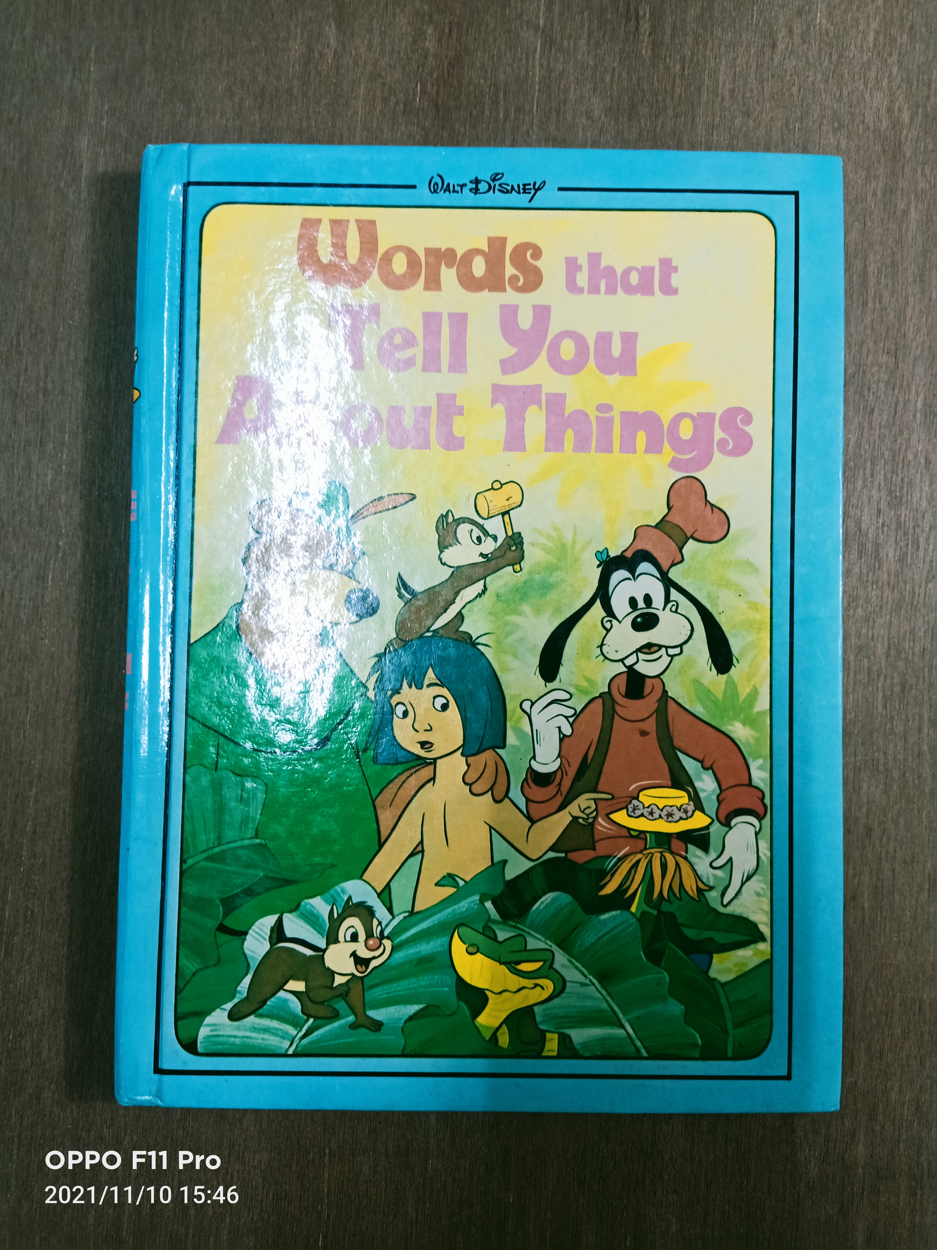 Words that Tell You About Things (หนังสือมีรอยเขียนตามรุปที่ถ่าย)