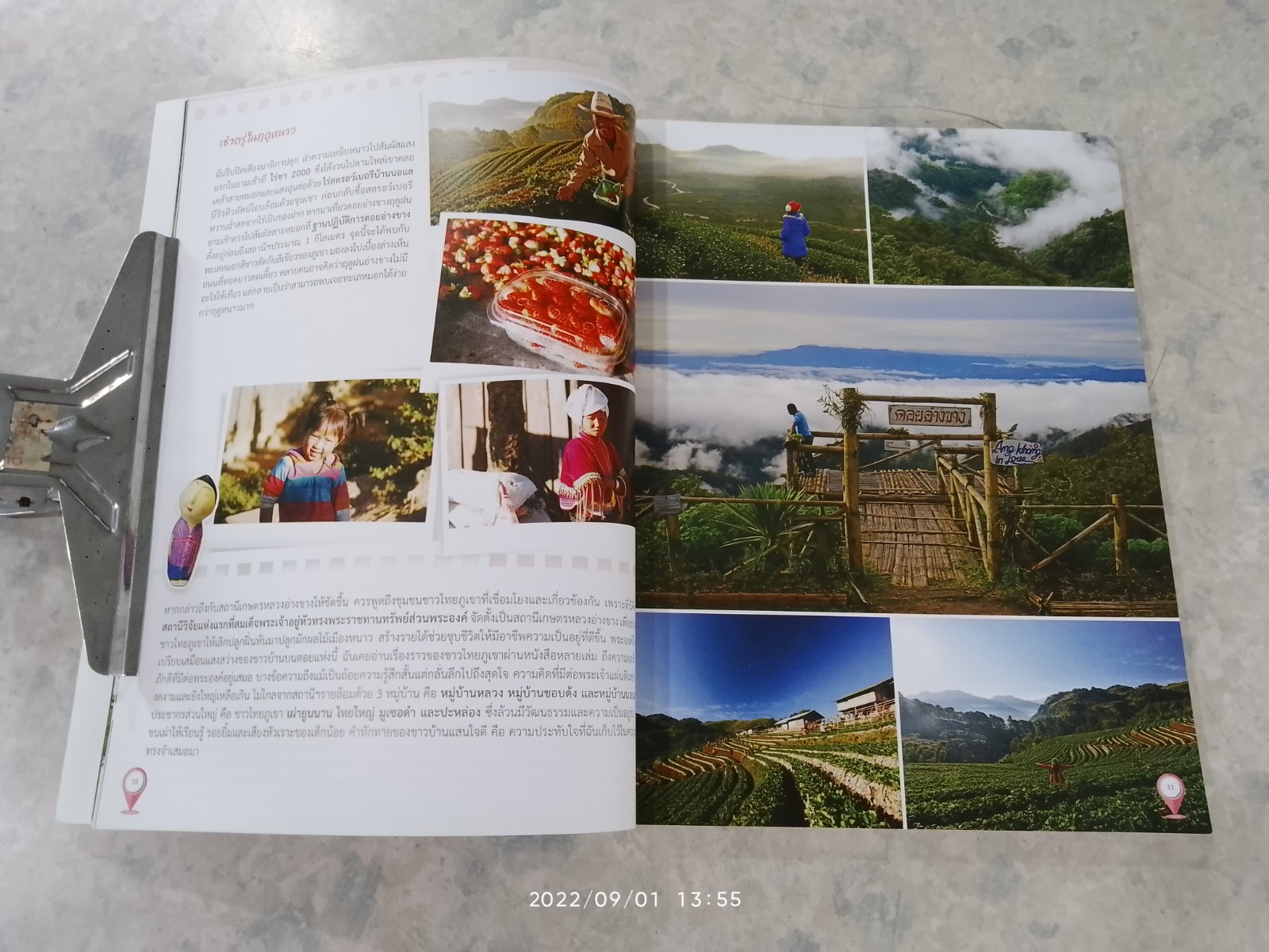 15 โครงการหลวง ที่ต้อง"ตกหลุม"รัก