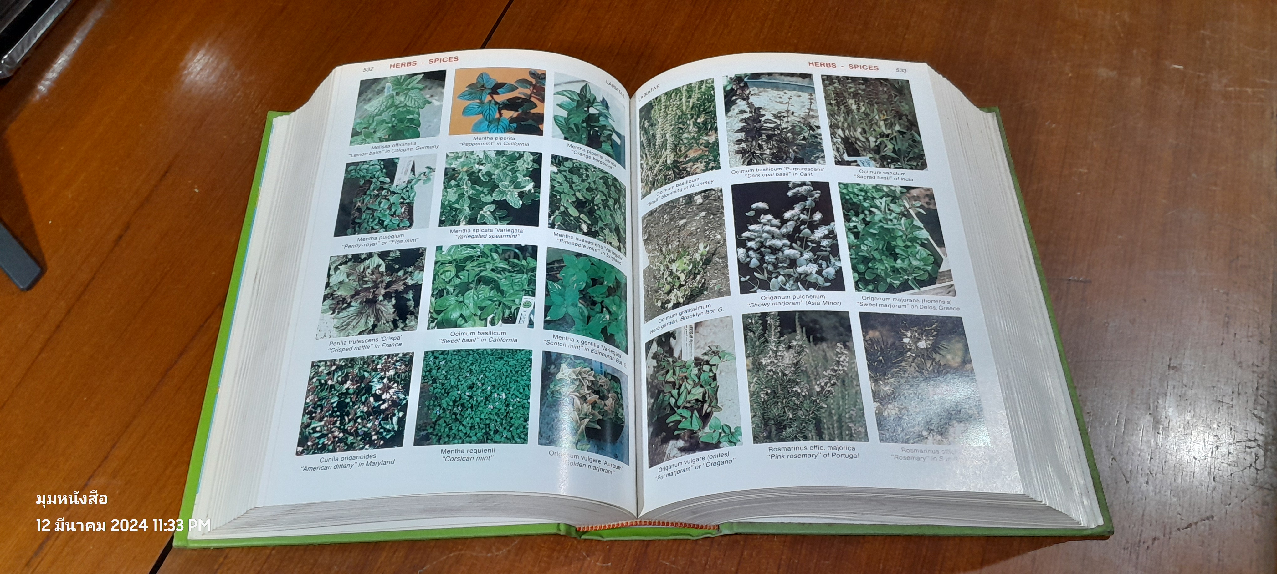 HORTICA : A COLOR CYCLOPEDIA.OF GARDEN FLORA in all Climates and Indoor Plants