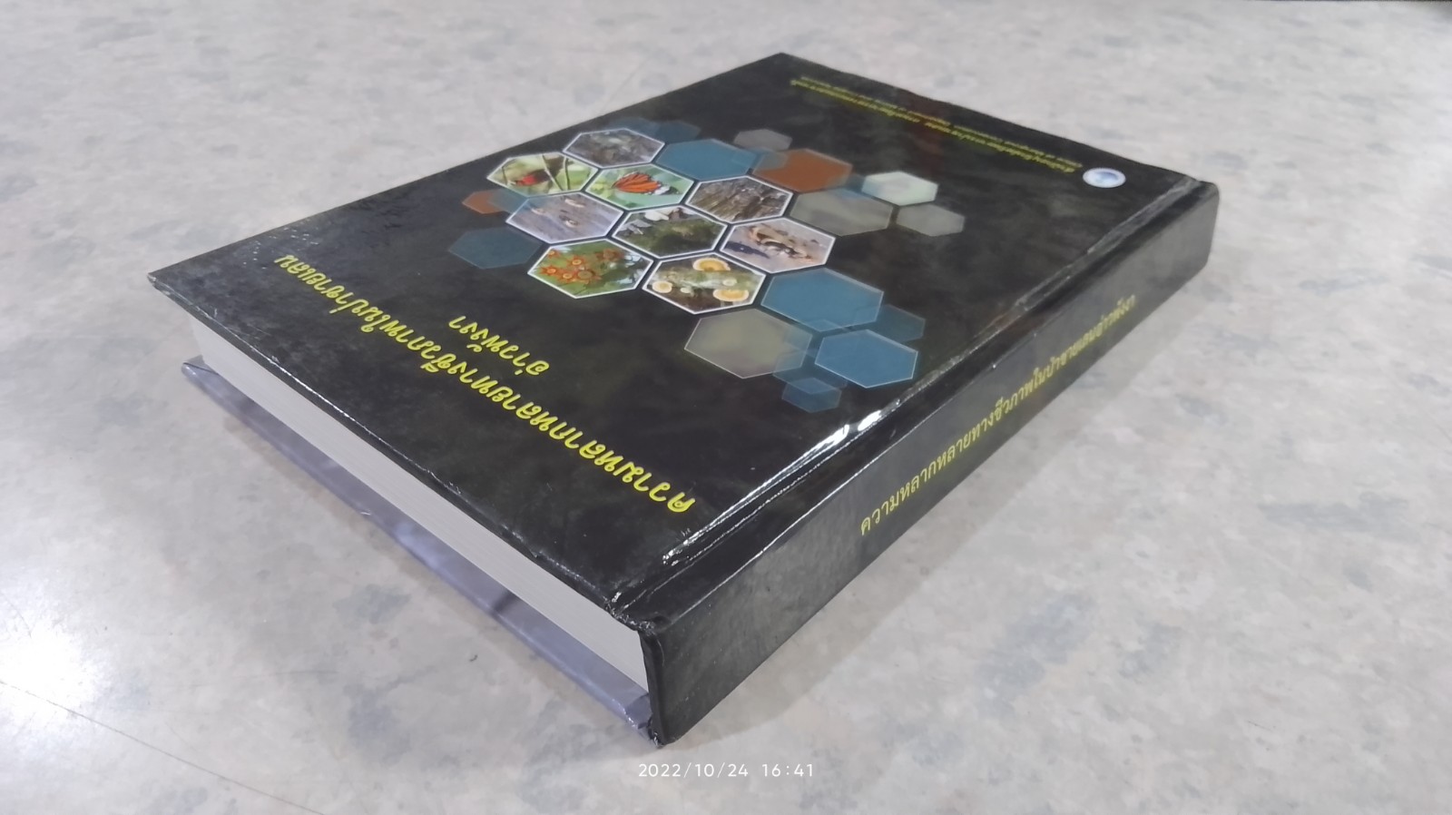 ความหลากหลายทางชีวภาพในป่าชายเลน อ่าวพังงา