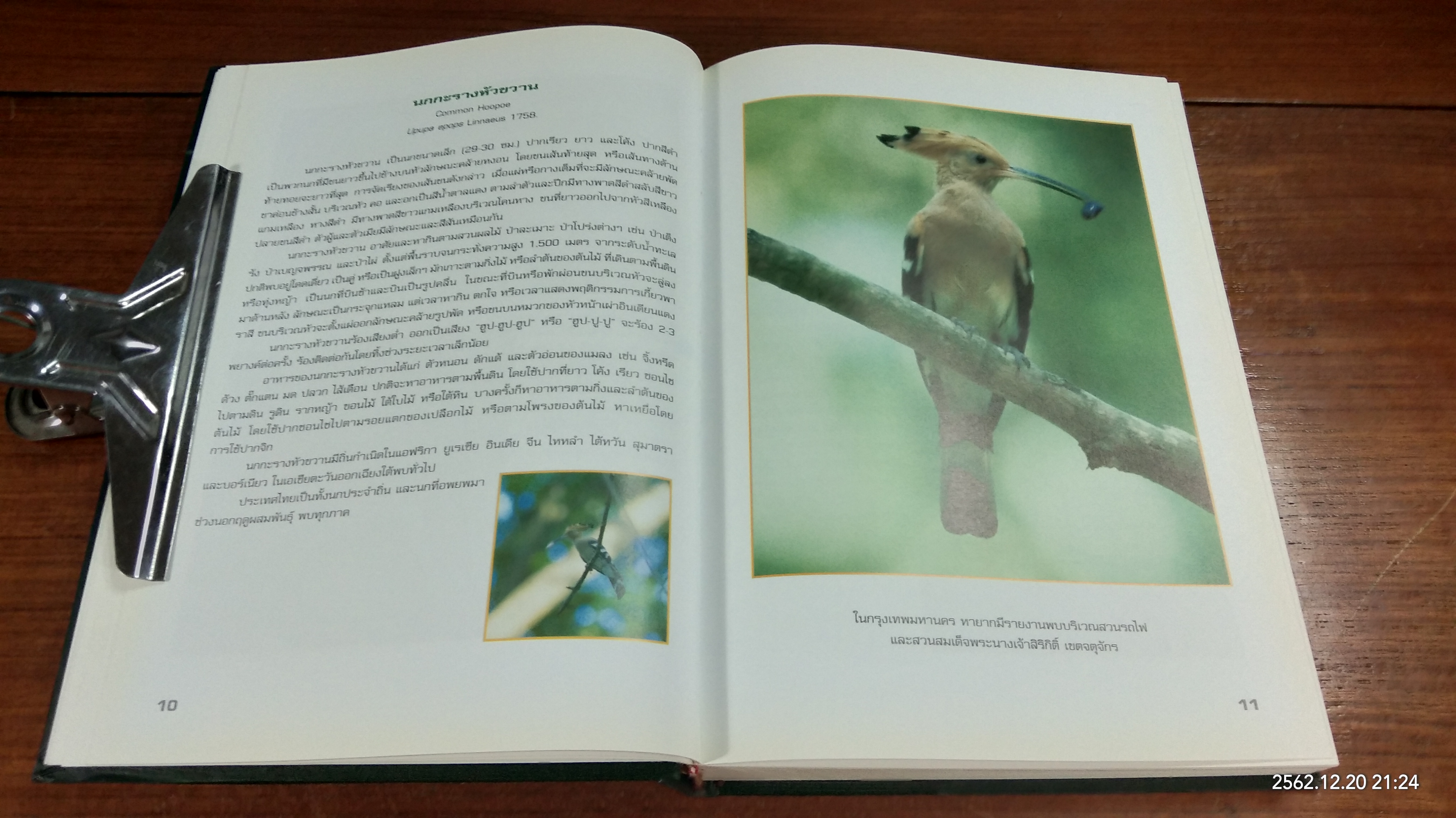 นกในกรุงเทพมหานคร / กรมส่งเสริมคุณภาพสิ่งแวดล้อม