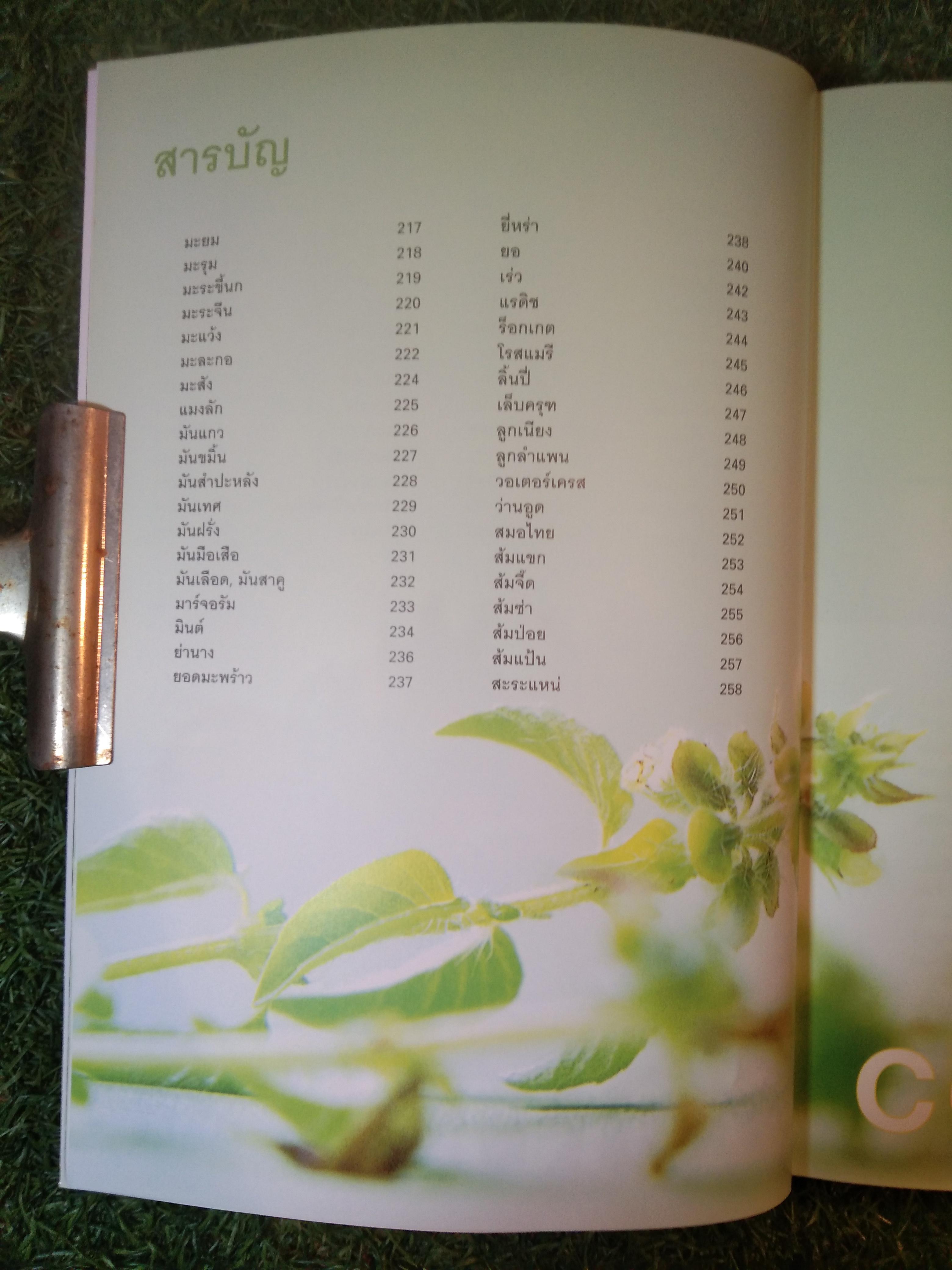 คุณค่าอาหารและการกิน ผัก๓๓๓ ชนิด / แสงแดด (สภาพไม่สมบูรณ์)