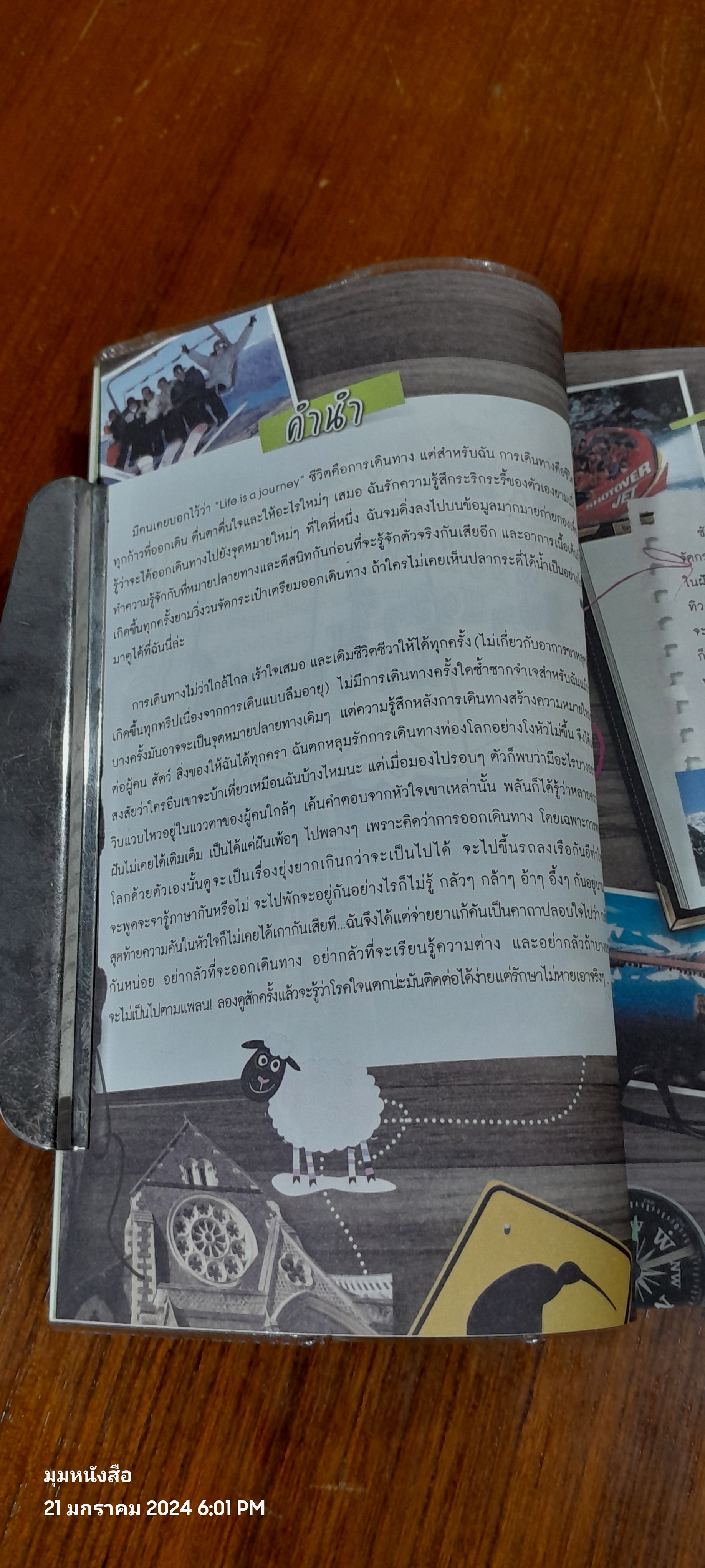 น้งเน้งน้งแกะ ขับๆ แวะๆ ที่นิวซีแลนด์ / LADKa