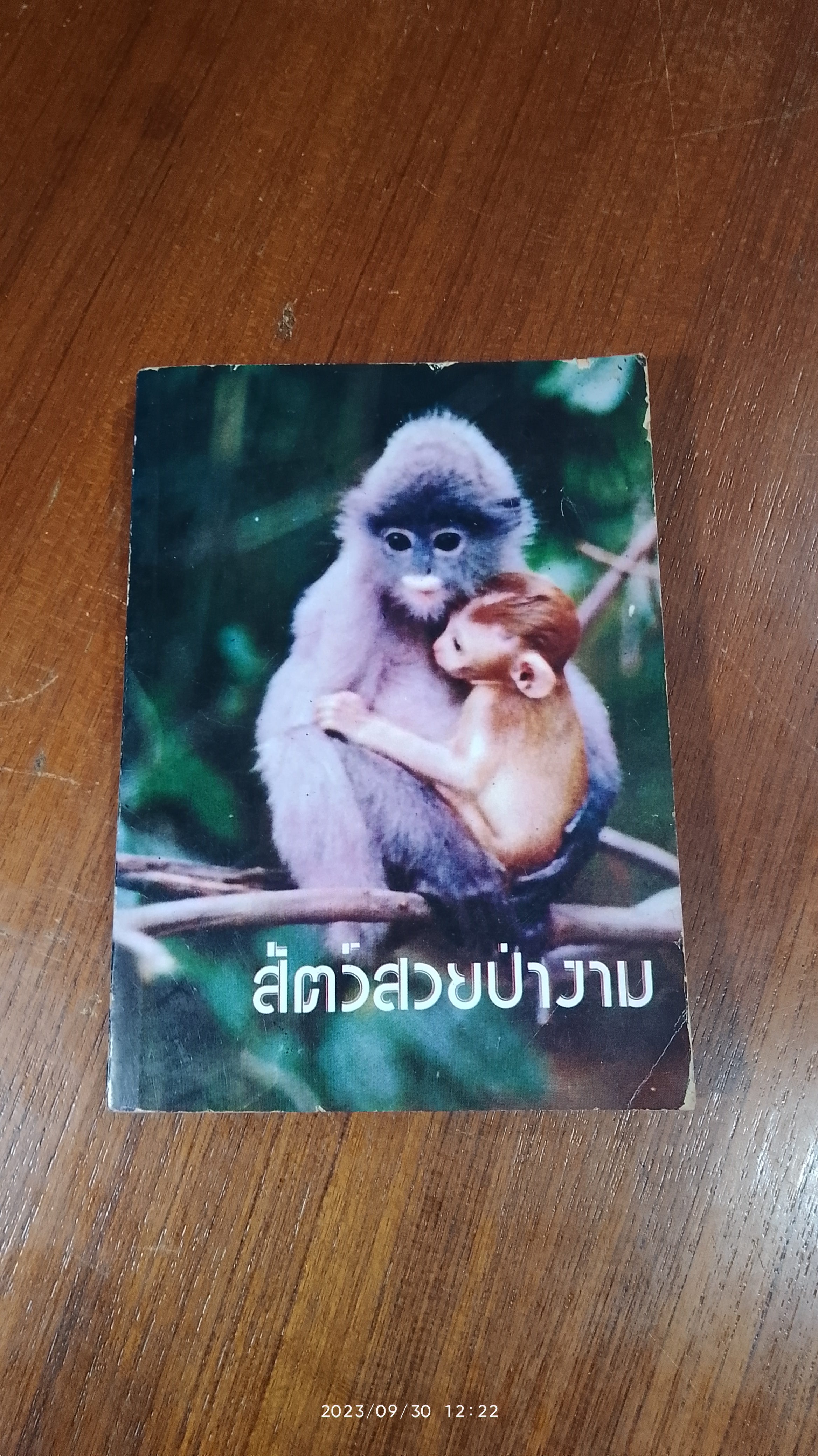 สัตว์สวยป่างาม / ชมรมนิเวศวิทยาม.มหิดล