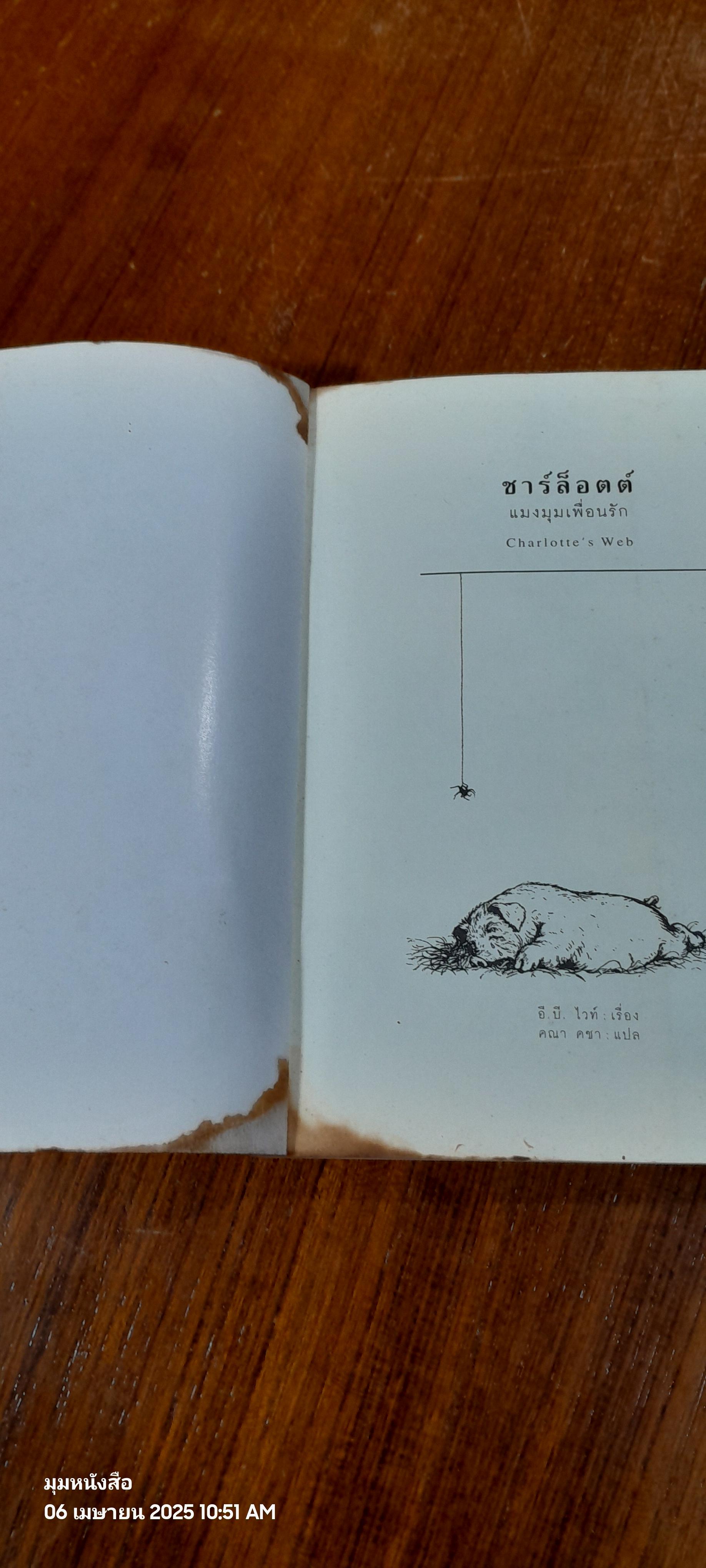 ชาร์ล็อตต์ แมงมุมเพื่อนรัก / อี.บี. ไวท์ (สภาพไม่สมบูรณ์)