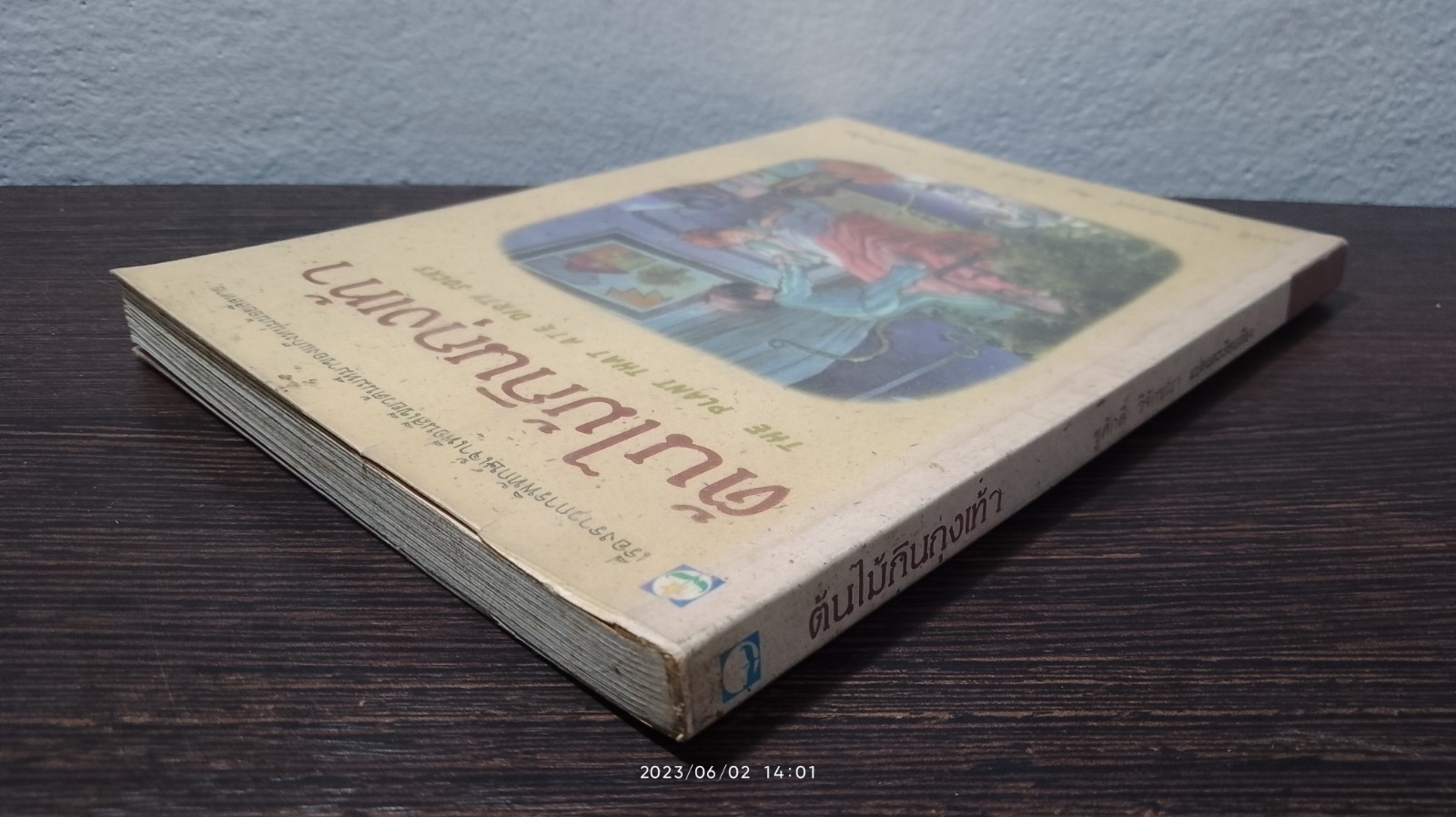 ต้นไม้กินถุงเท้า / แนนซี แมกอาร์เทอร์