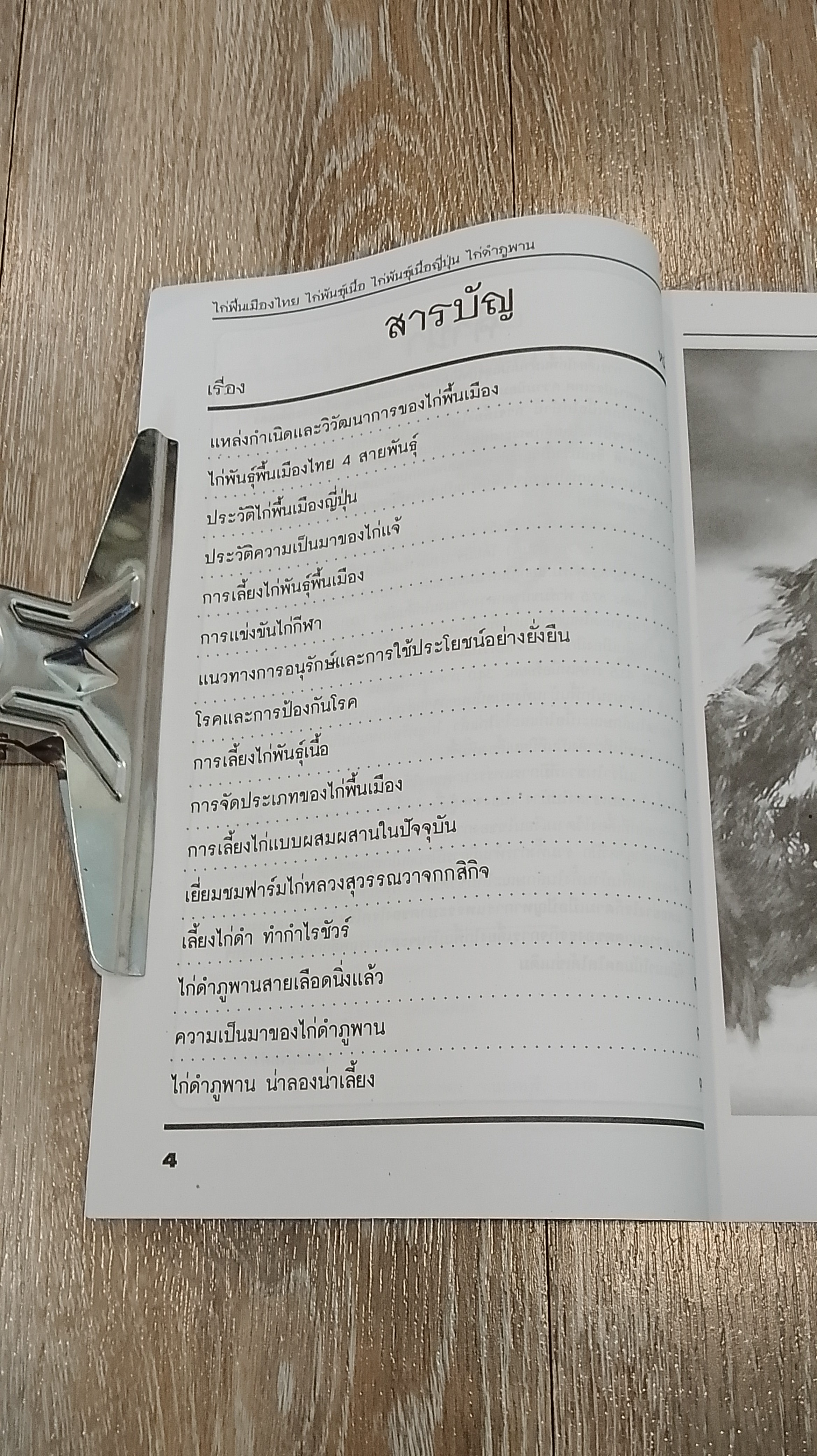 เทคนิคการเพาะเลี้ยง ไก่พื้นเมืองไทย ไก่พันธุ์เนื้อ ไก่พันธุ์เนื้อญี่ปุ่น