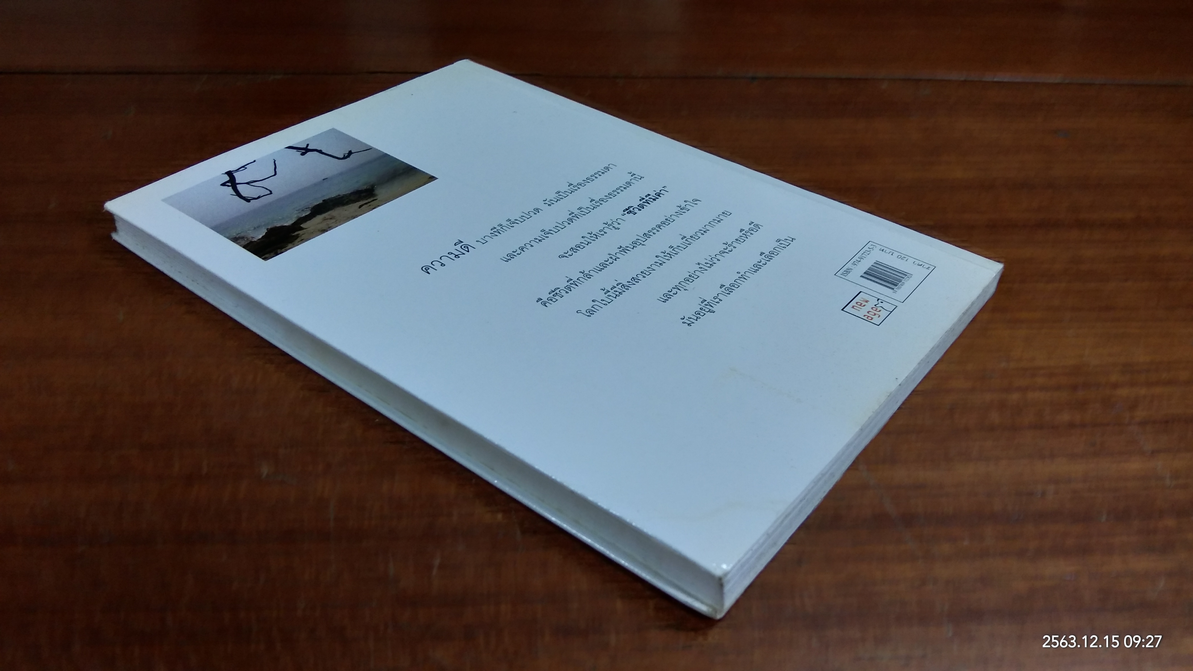 ยิ่งมองสูงยิ่งเห็นไกล (มีรอยโดนน้ำ) / ต้นกล้า นัยนา