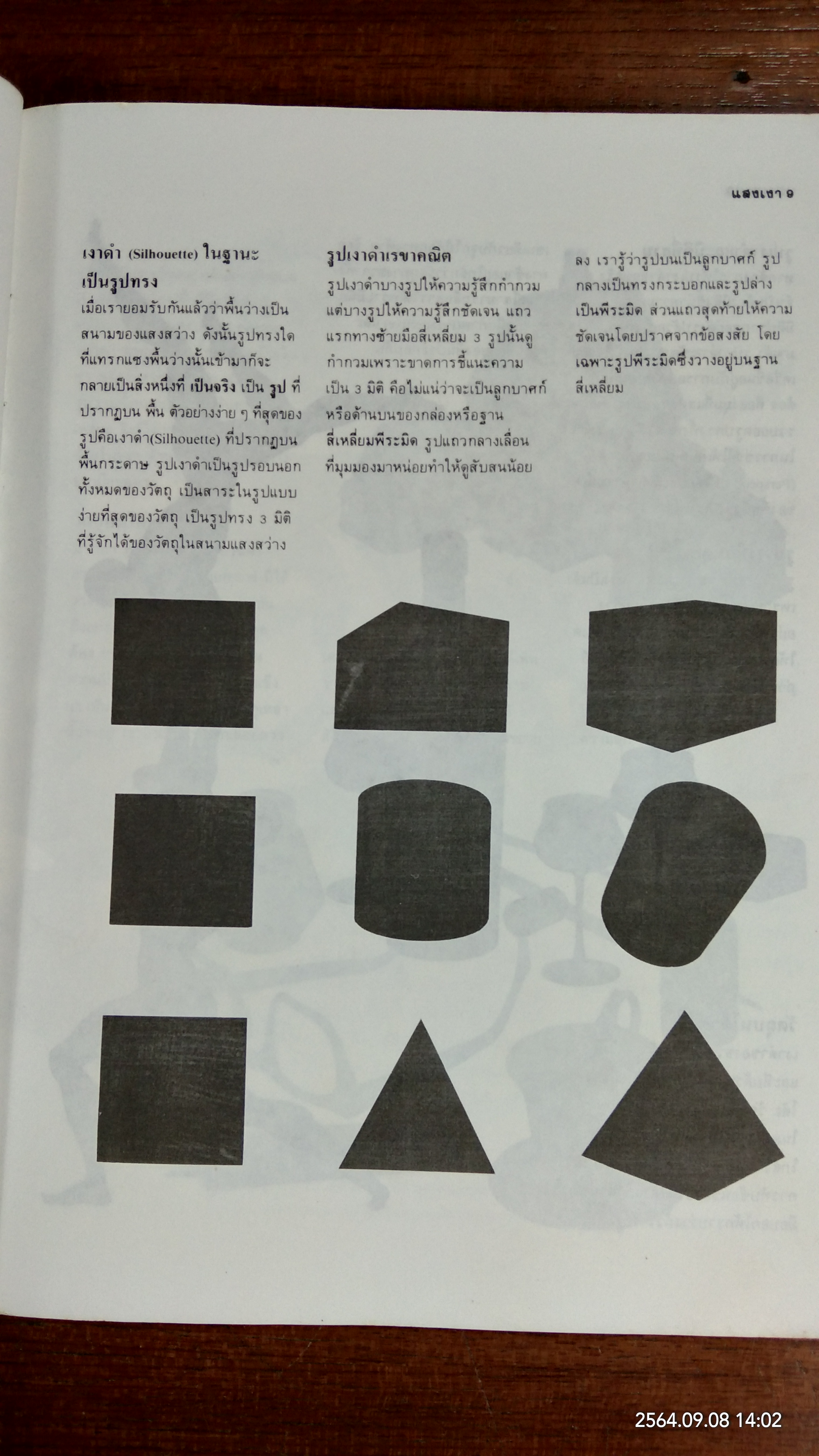 แสงเงา เนื้อและการสร้างสรรค์ / นิวิต หะนนท์